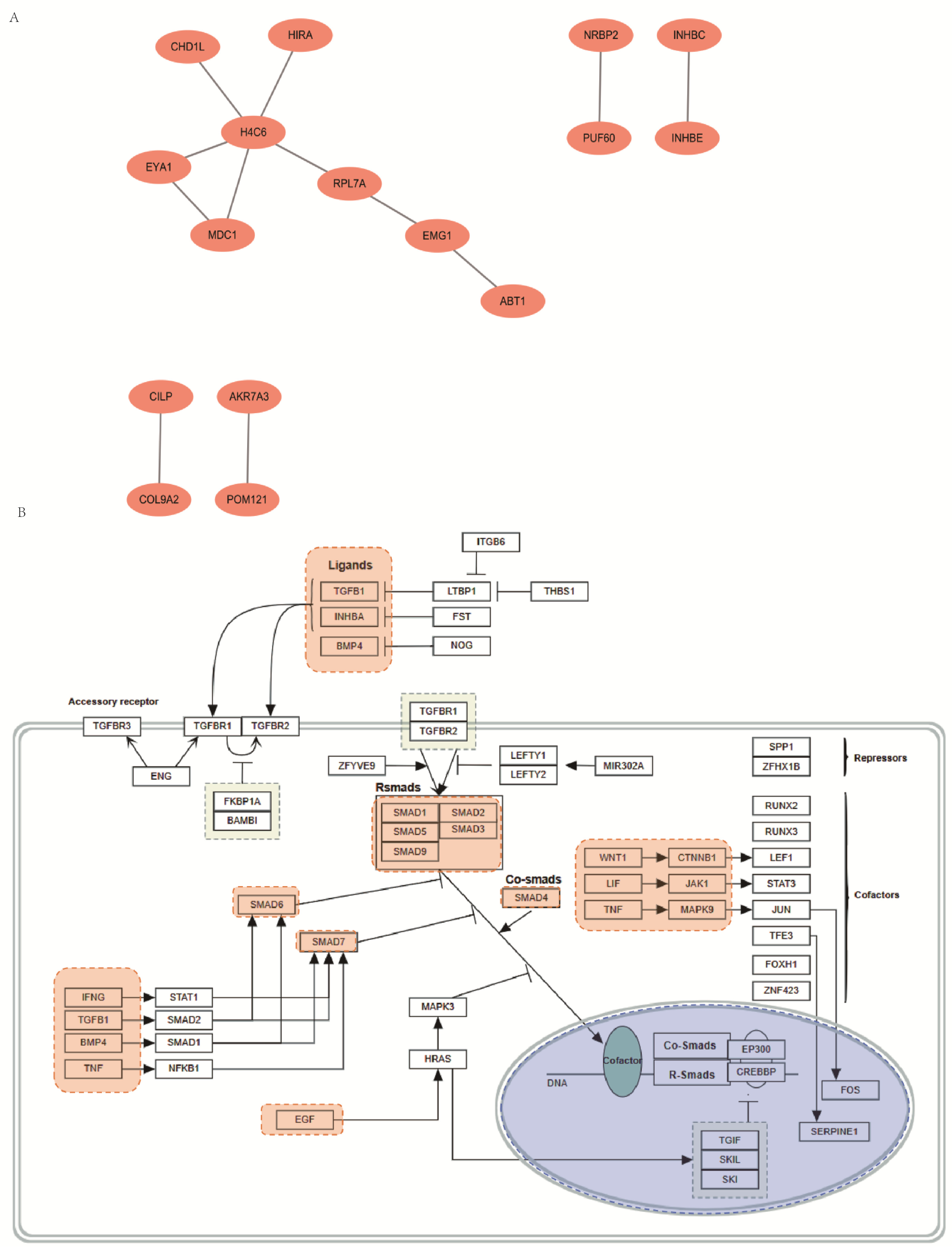 Biomedicines 13 01813 g006