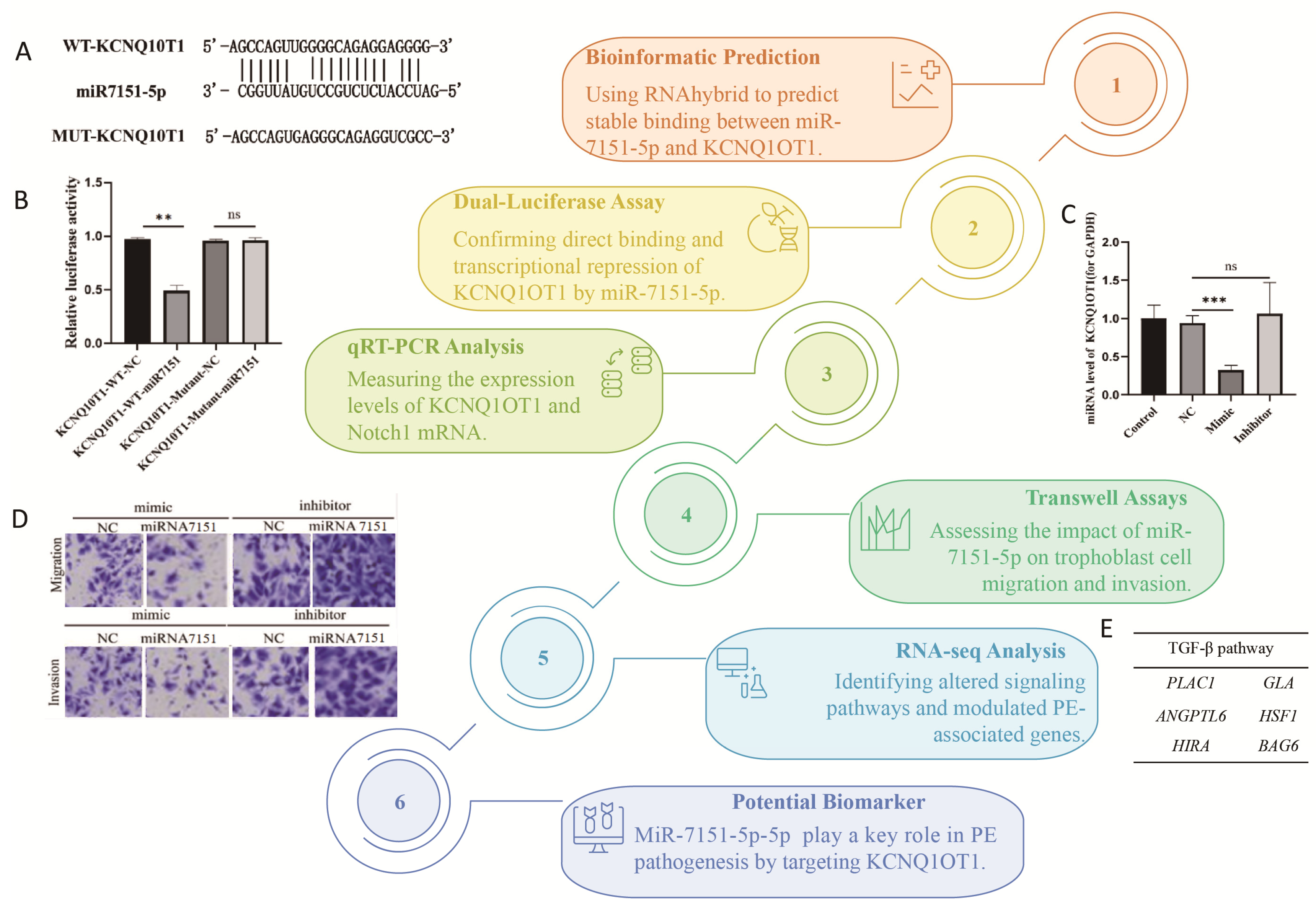 Biomedicines 13 01813 g007