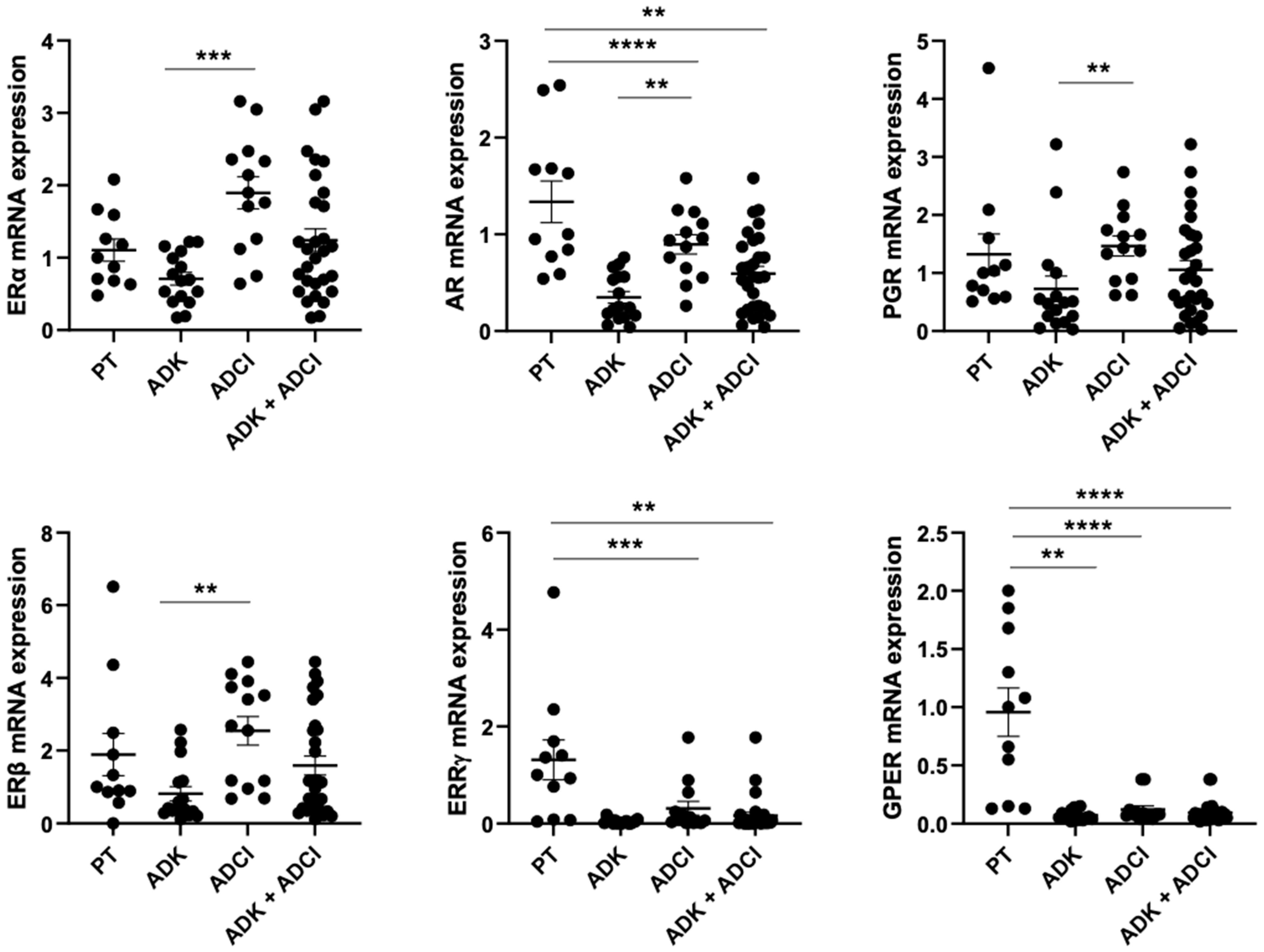 Biomedicines 13 01815 g001
