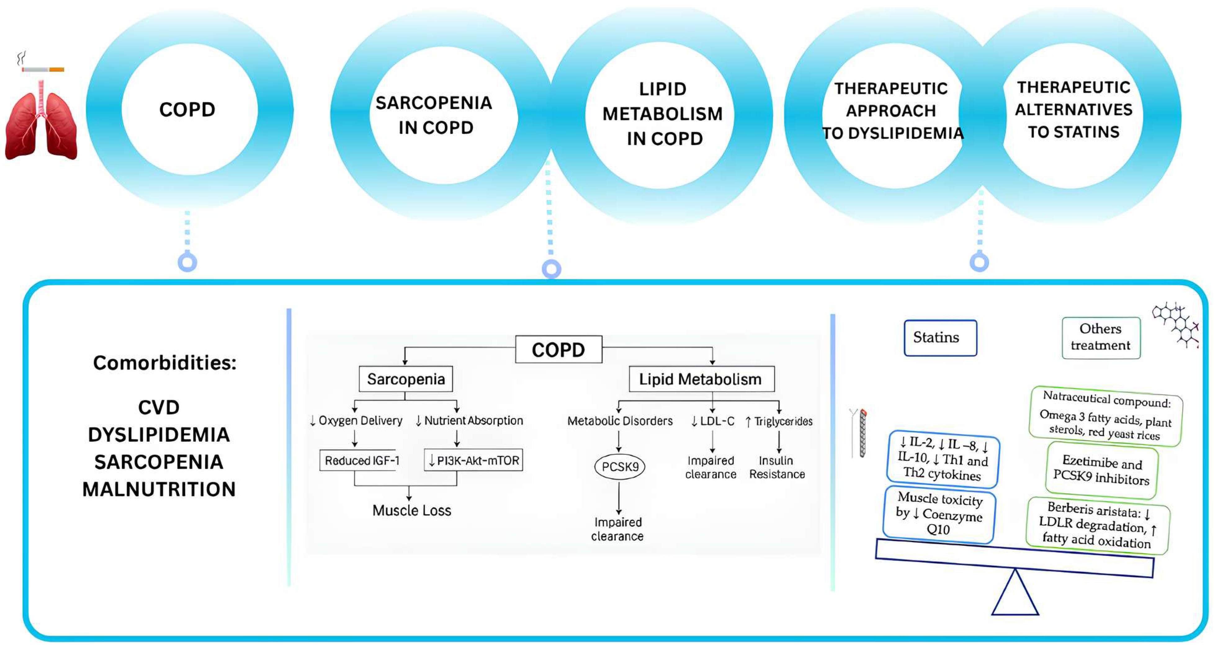 Biomedicines 13 01817 g001 Biomedicines 13 01817 g001