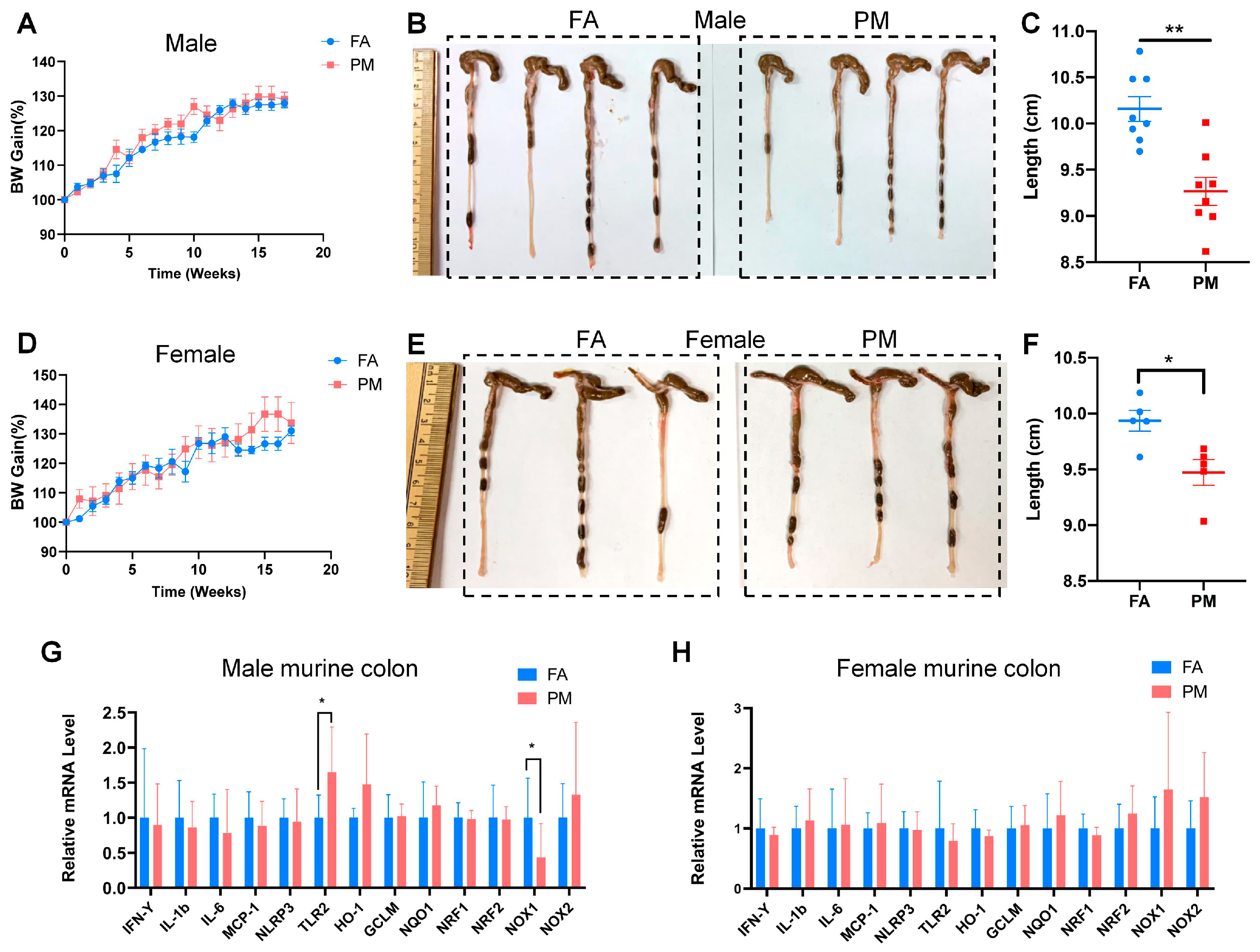 Biomedicines 13 01825 g002