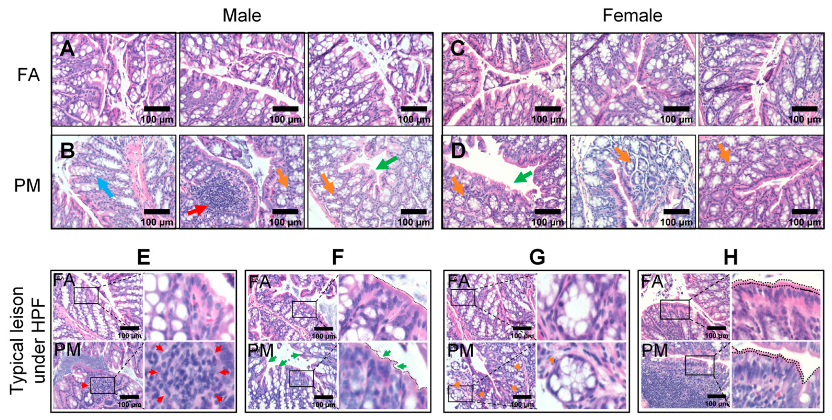 Biomedicines 13 01825 g003