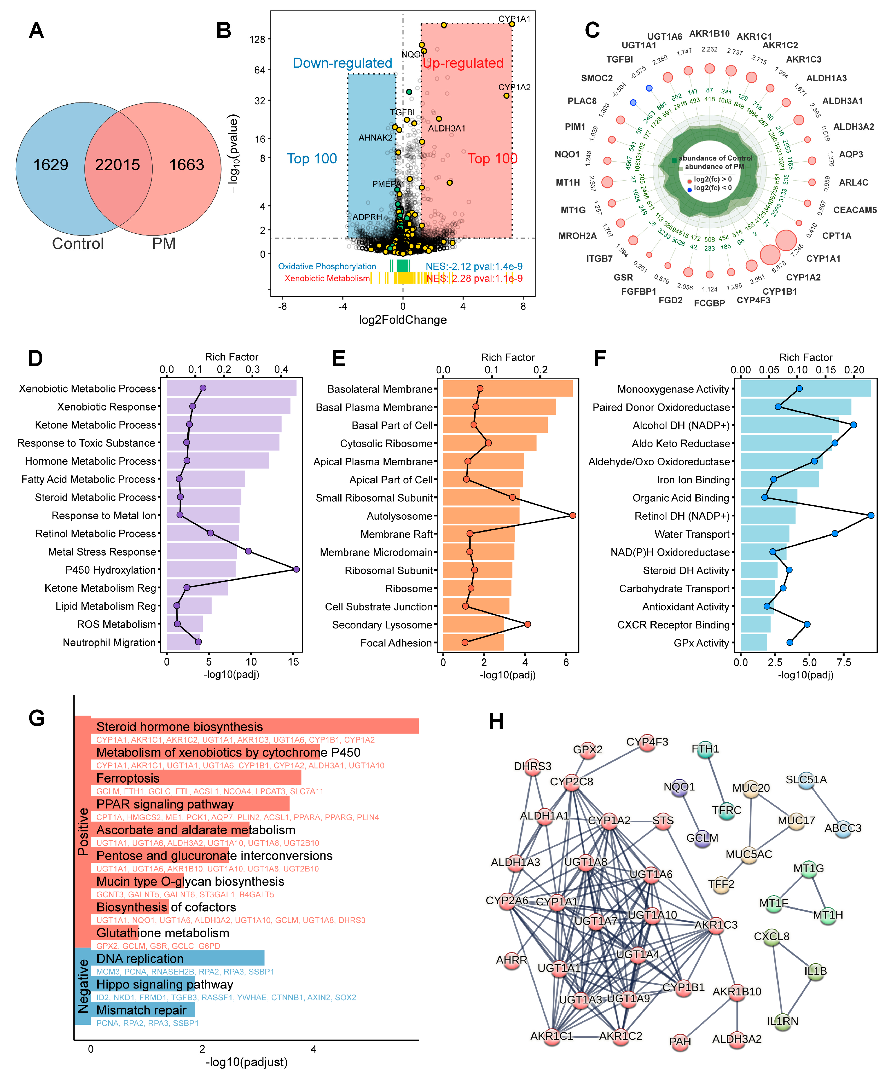 Biomedicines 13 01825 g006