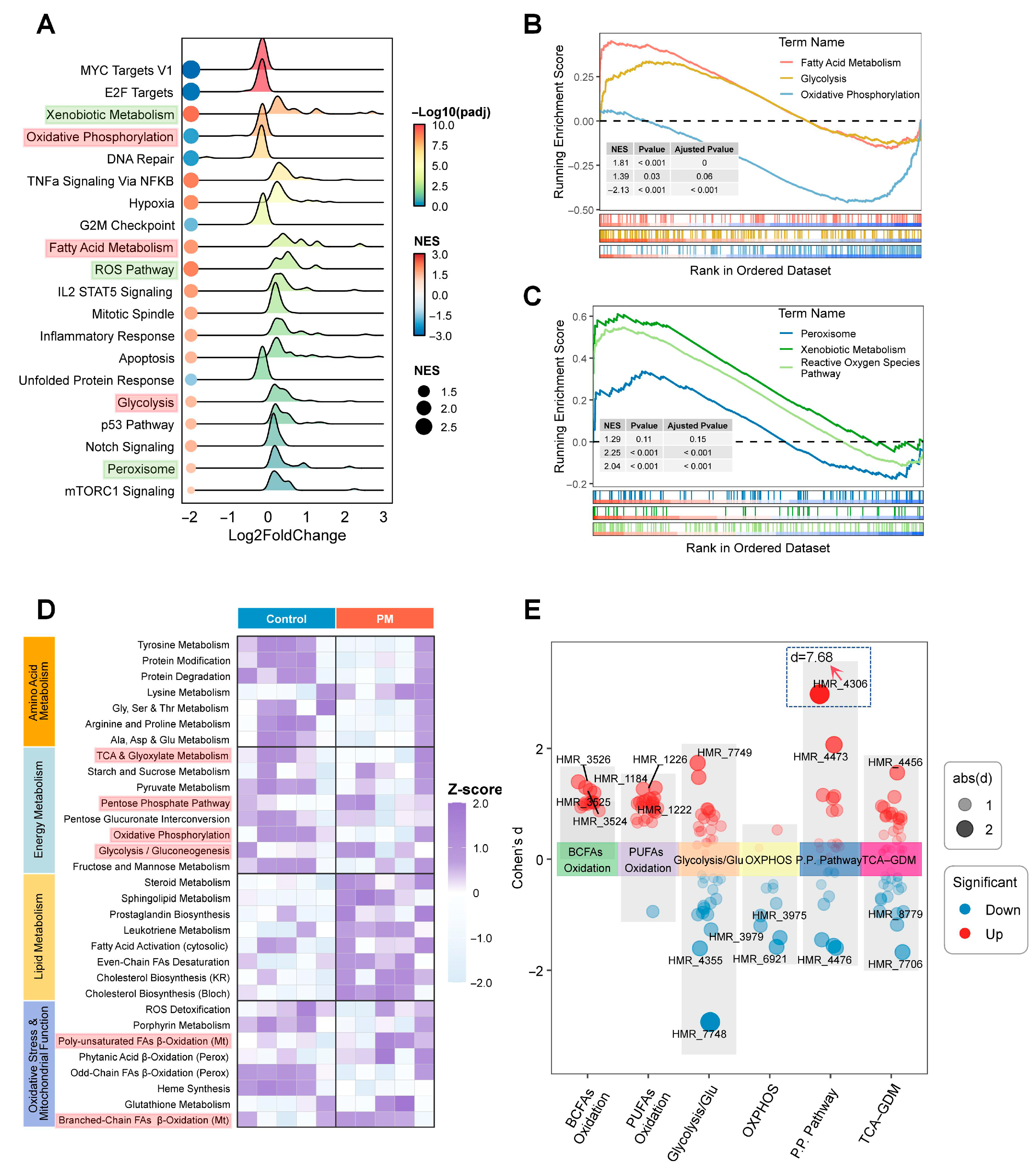 Biomedicines 13 01825 g007