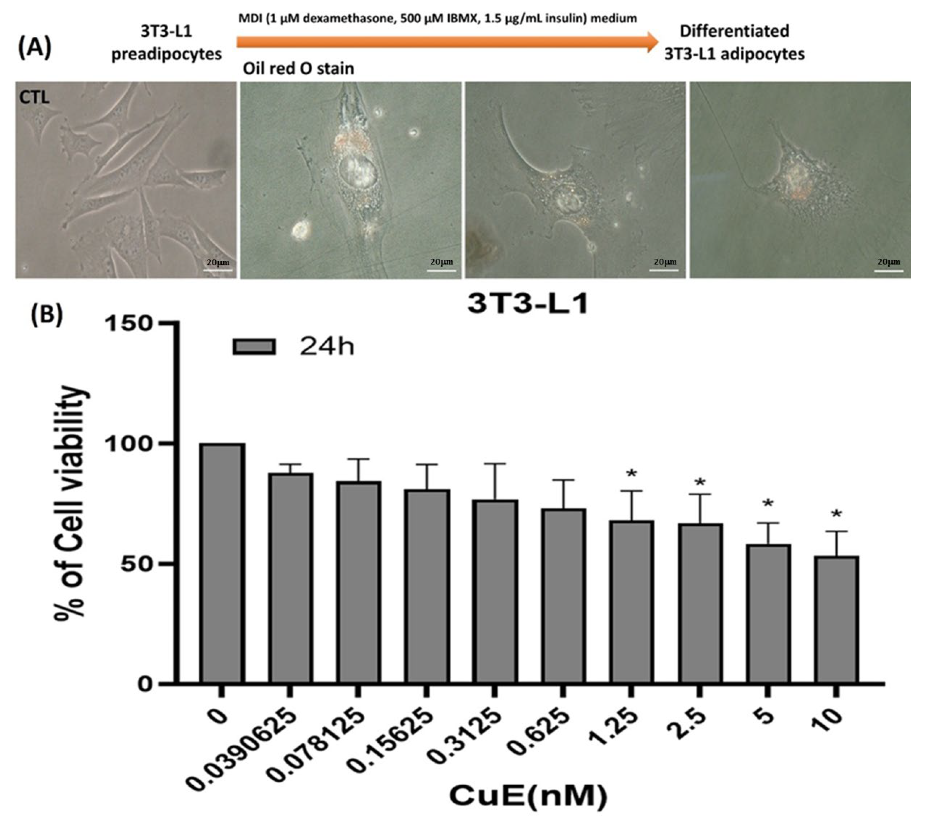 Biomedicines 13 01826 g001