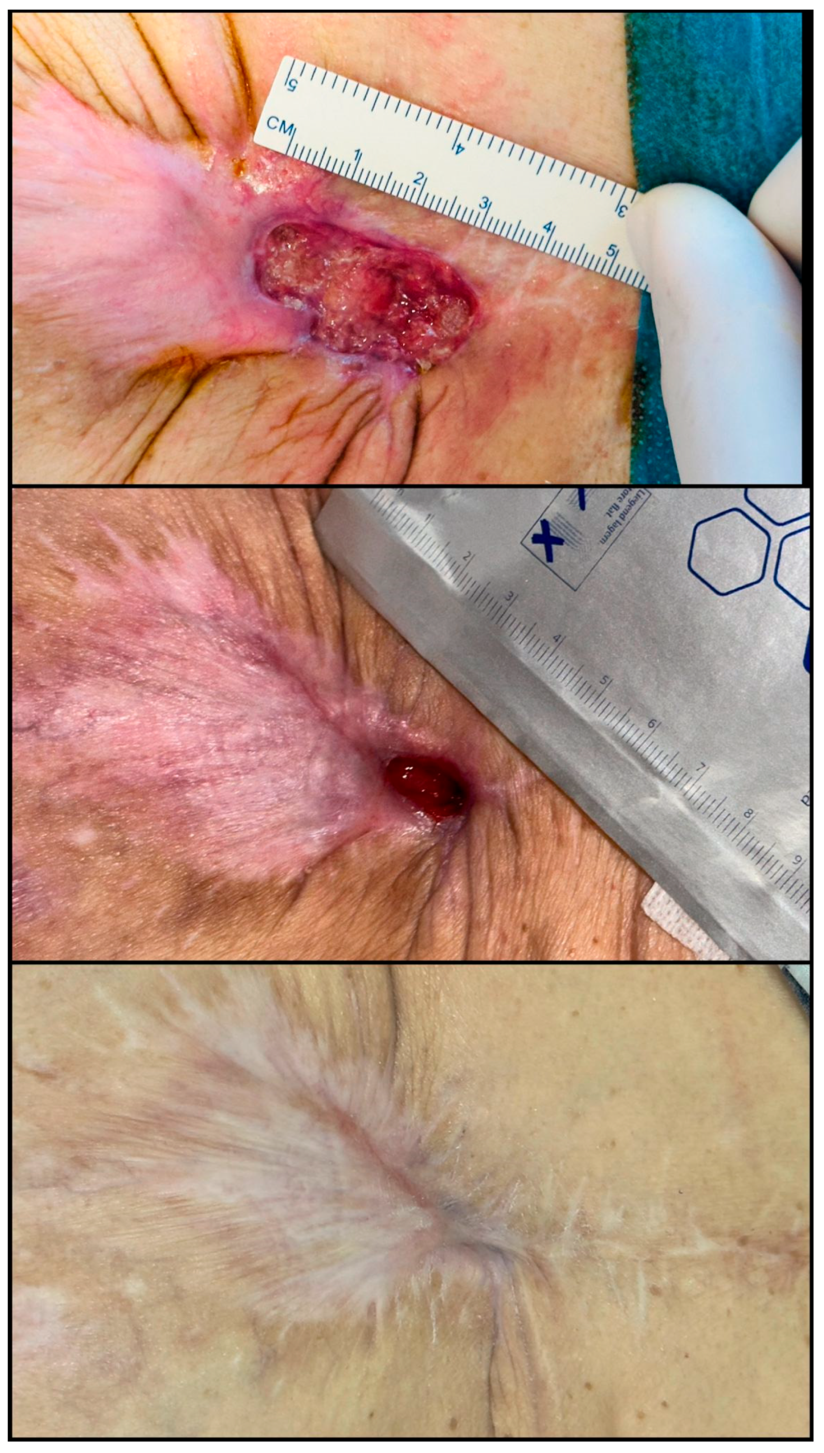 Biomedicines 13 01827 g007