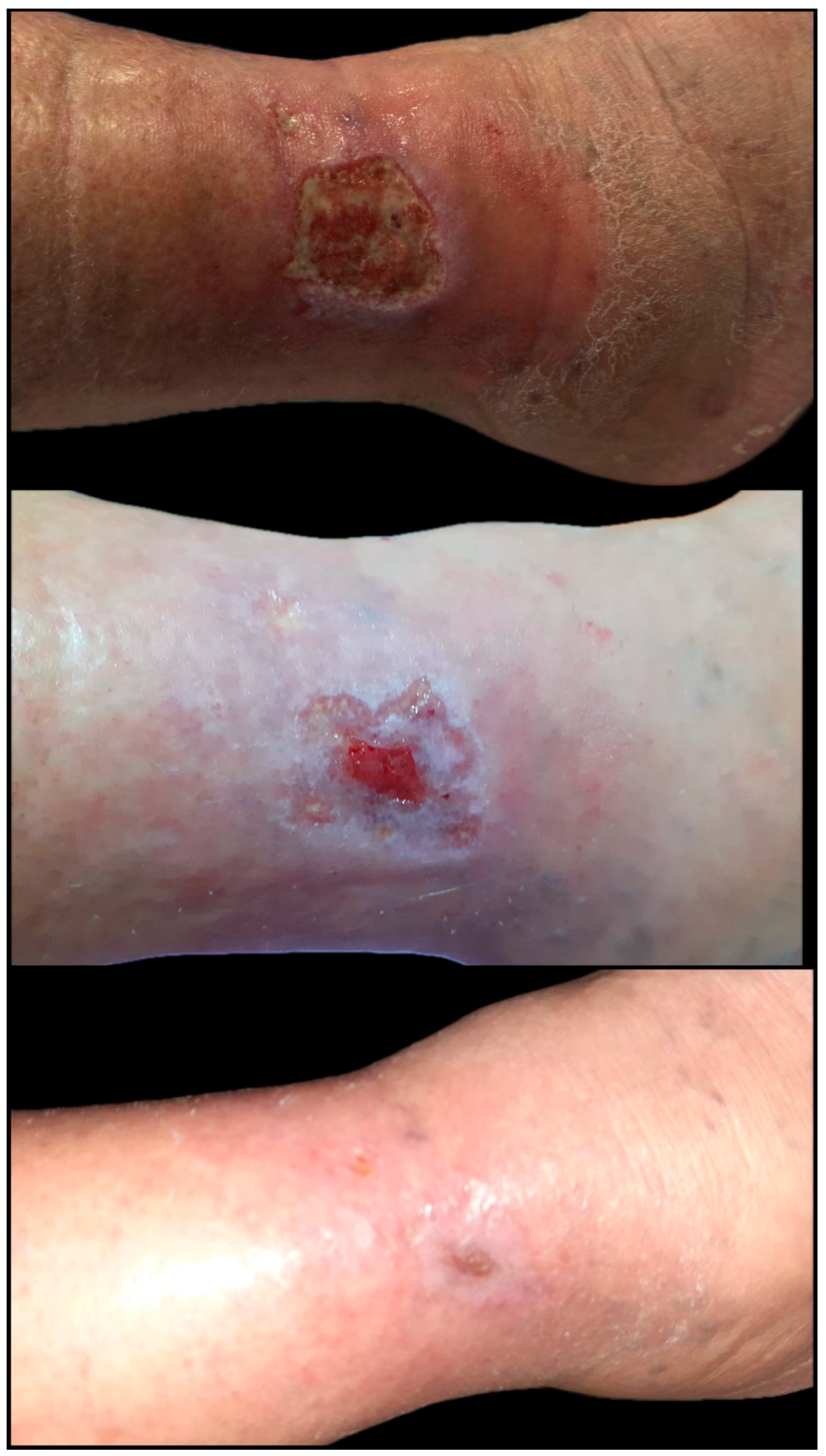 Biomedicines 13 01827 g008