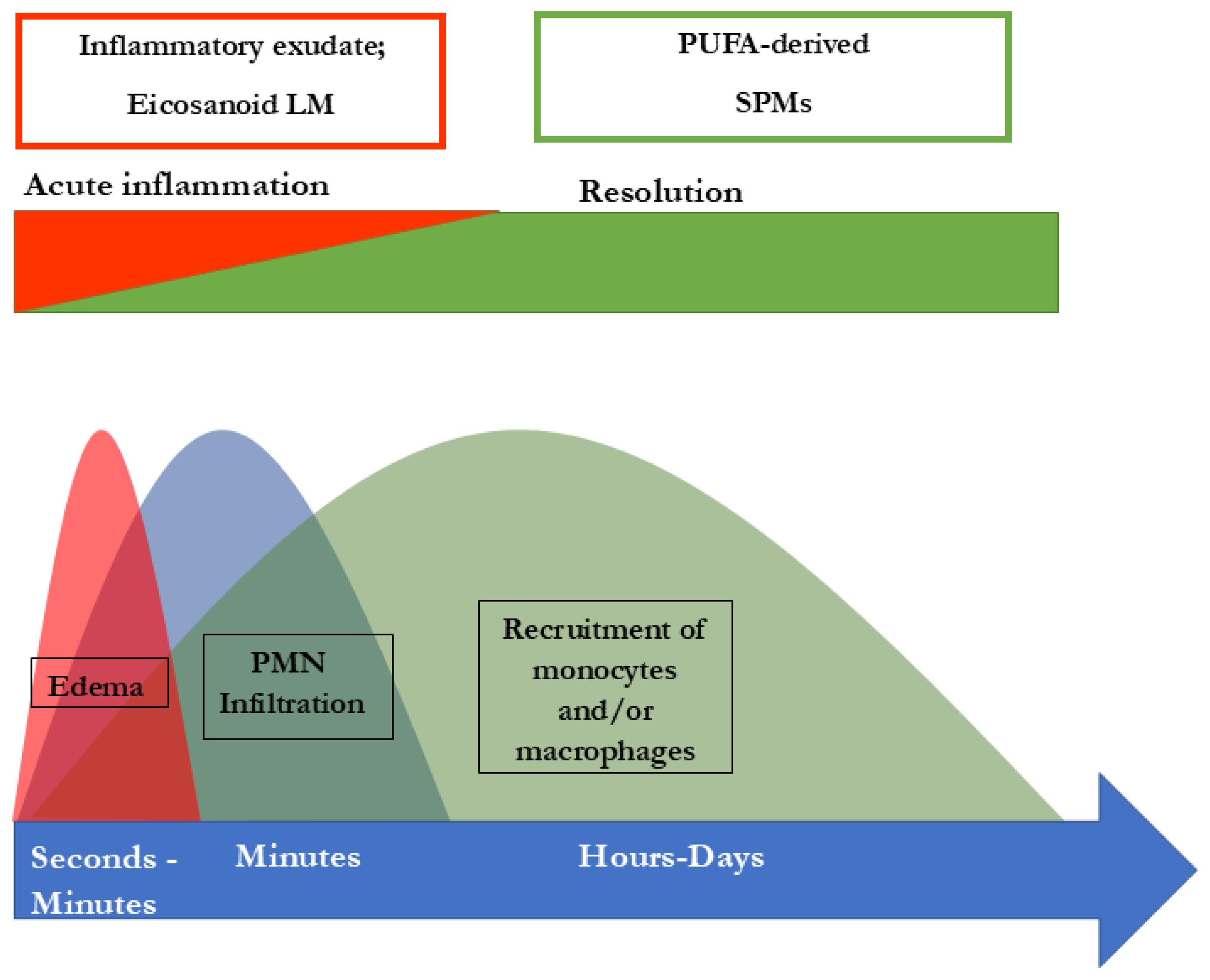 Biomedicines 13 01832 g002