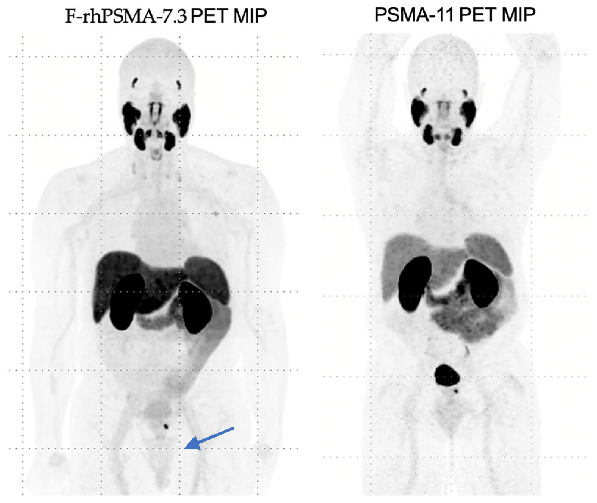 Biomedicines 13 01837 g002