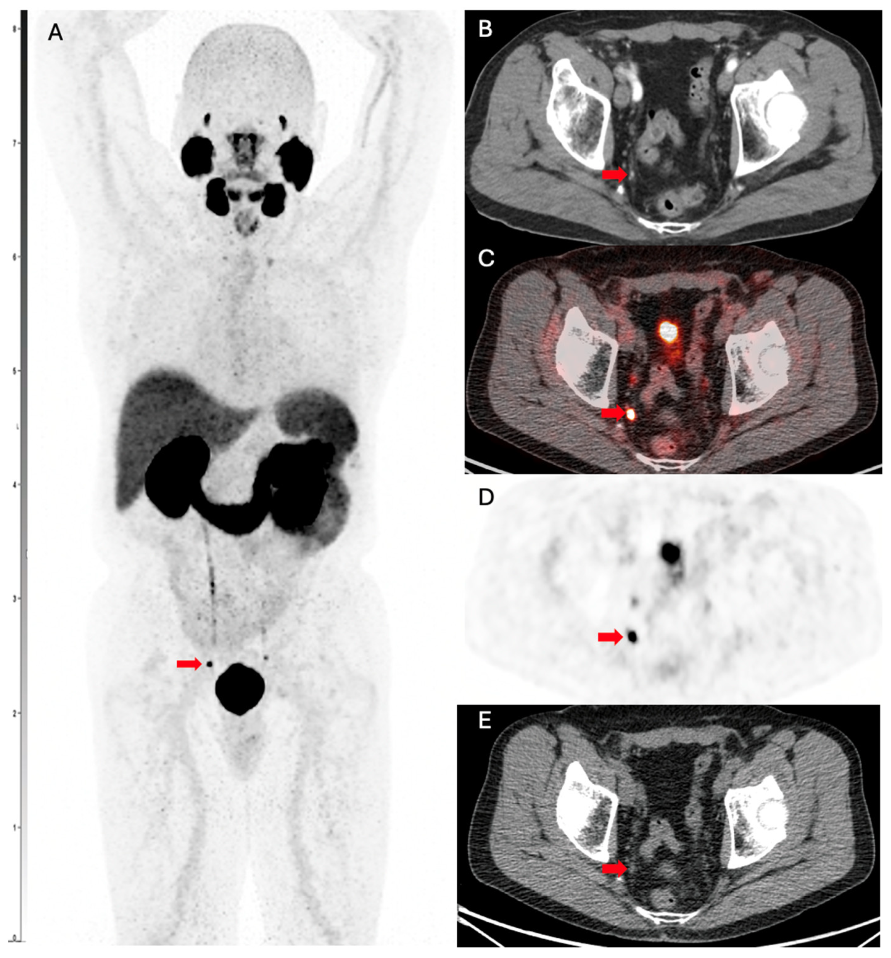 Biomedicines 13 01837 g003