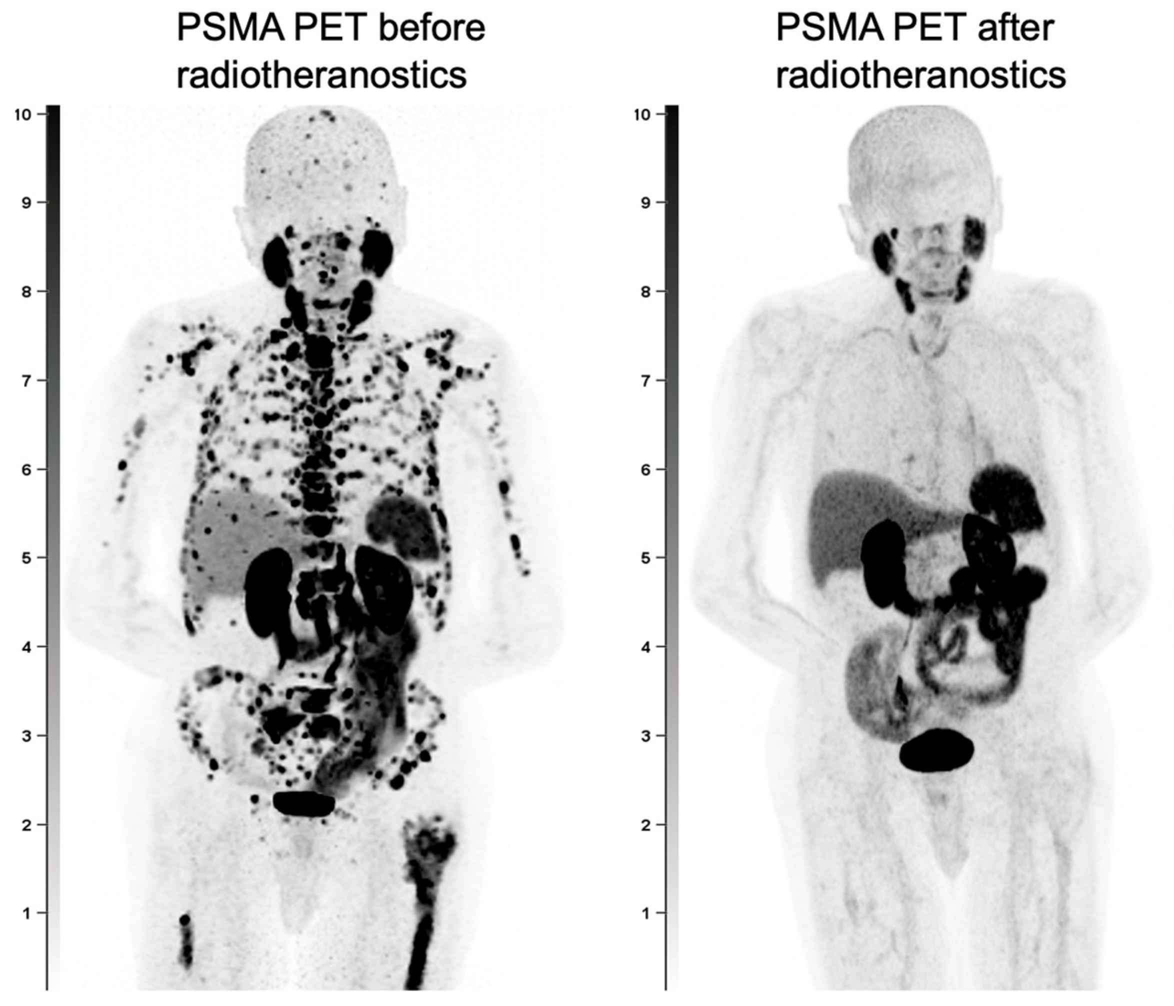 Biomedicines 13 01837 g004