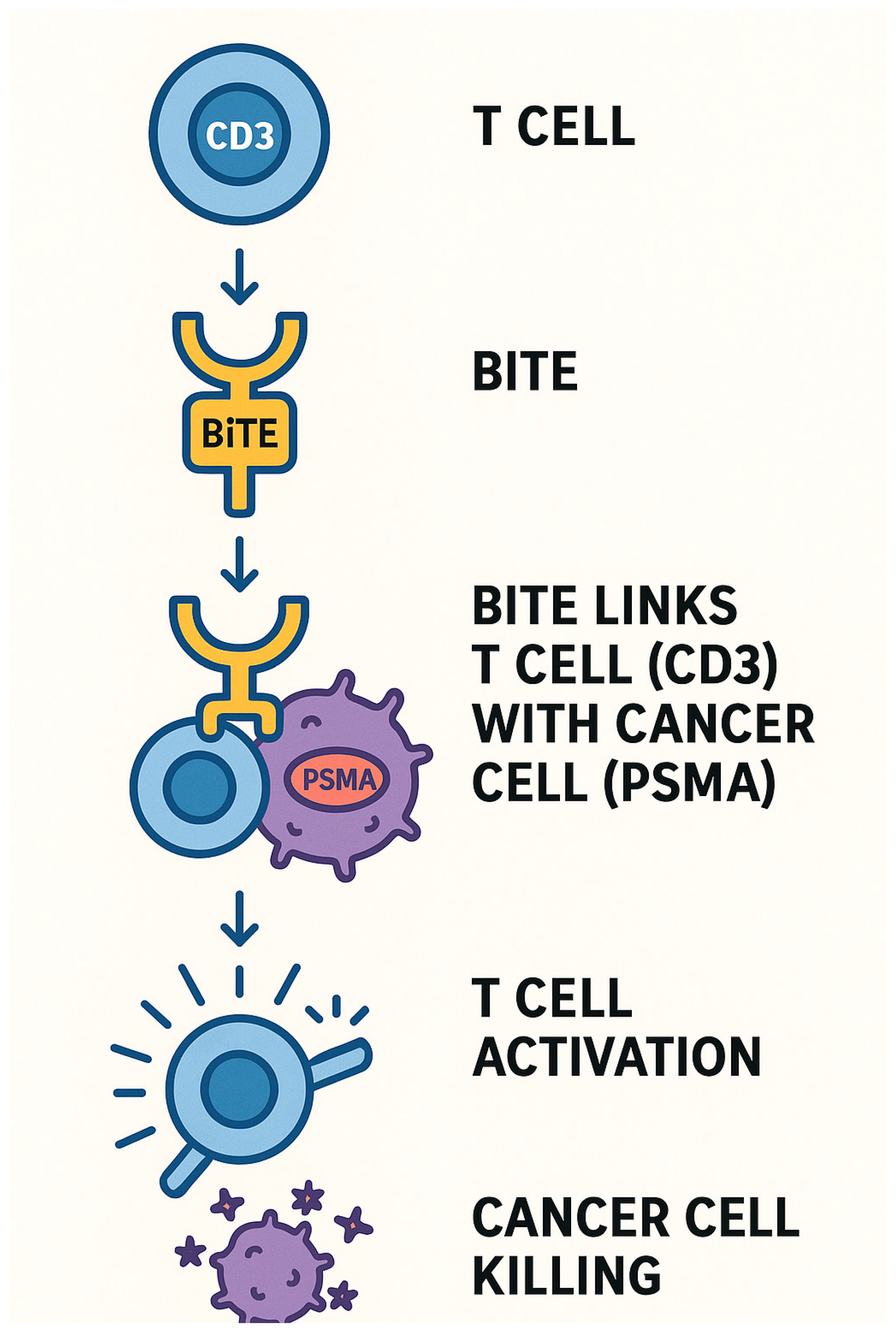 Biomedicines 13 01837 g006