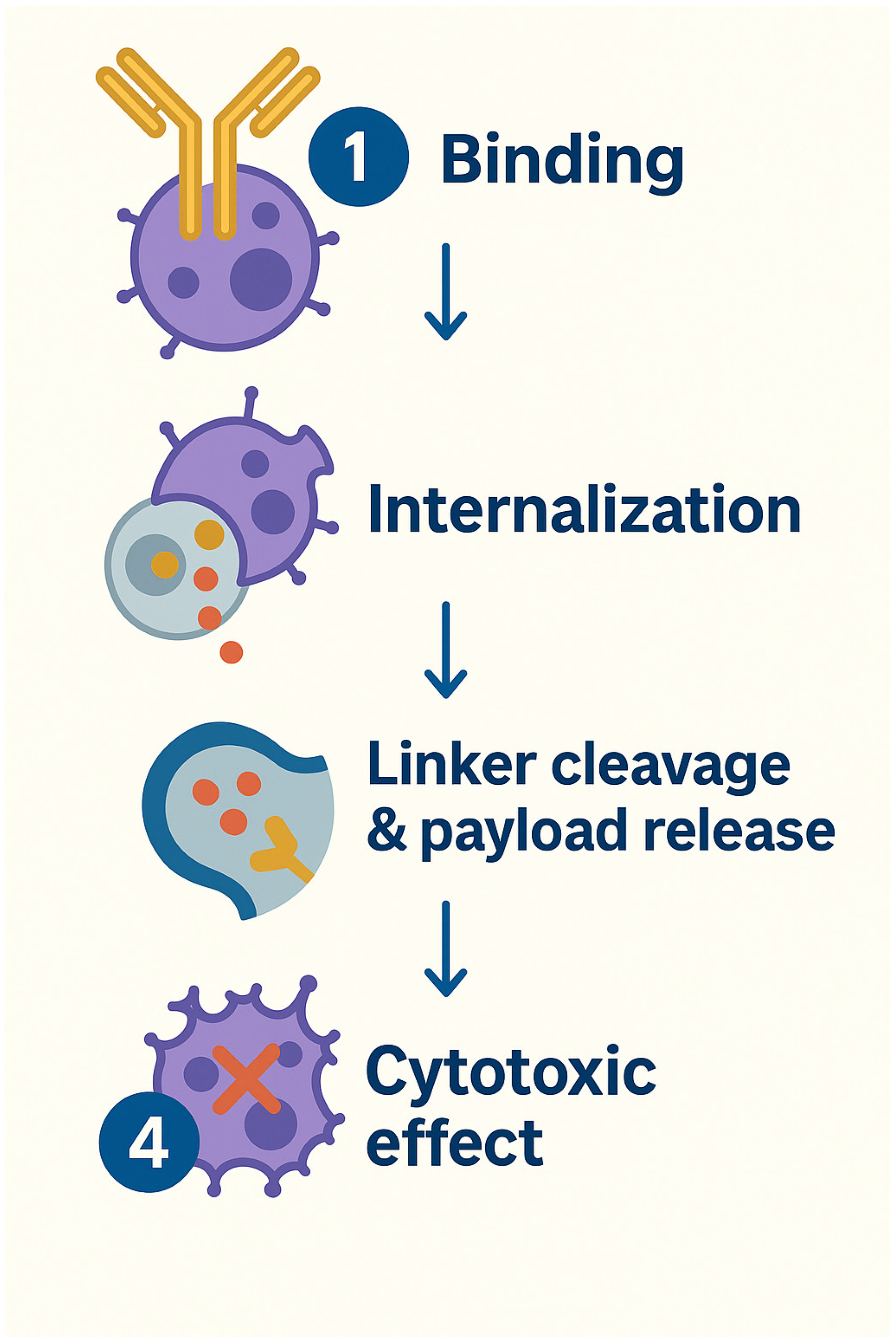 Biomedicines 13 01837 g007