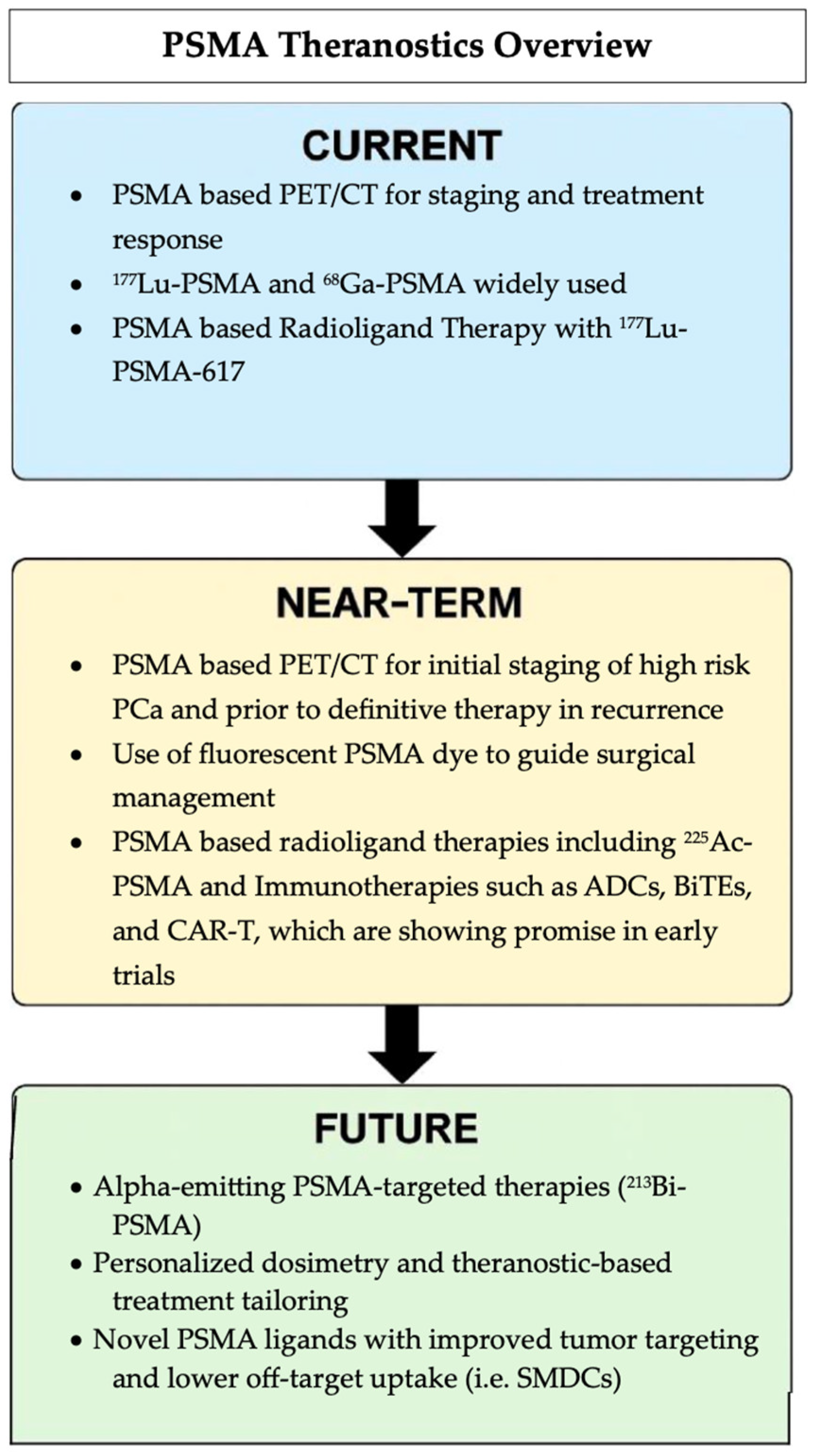 Biomedicines 13 01837 g008