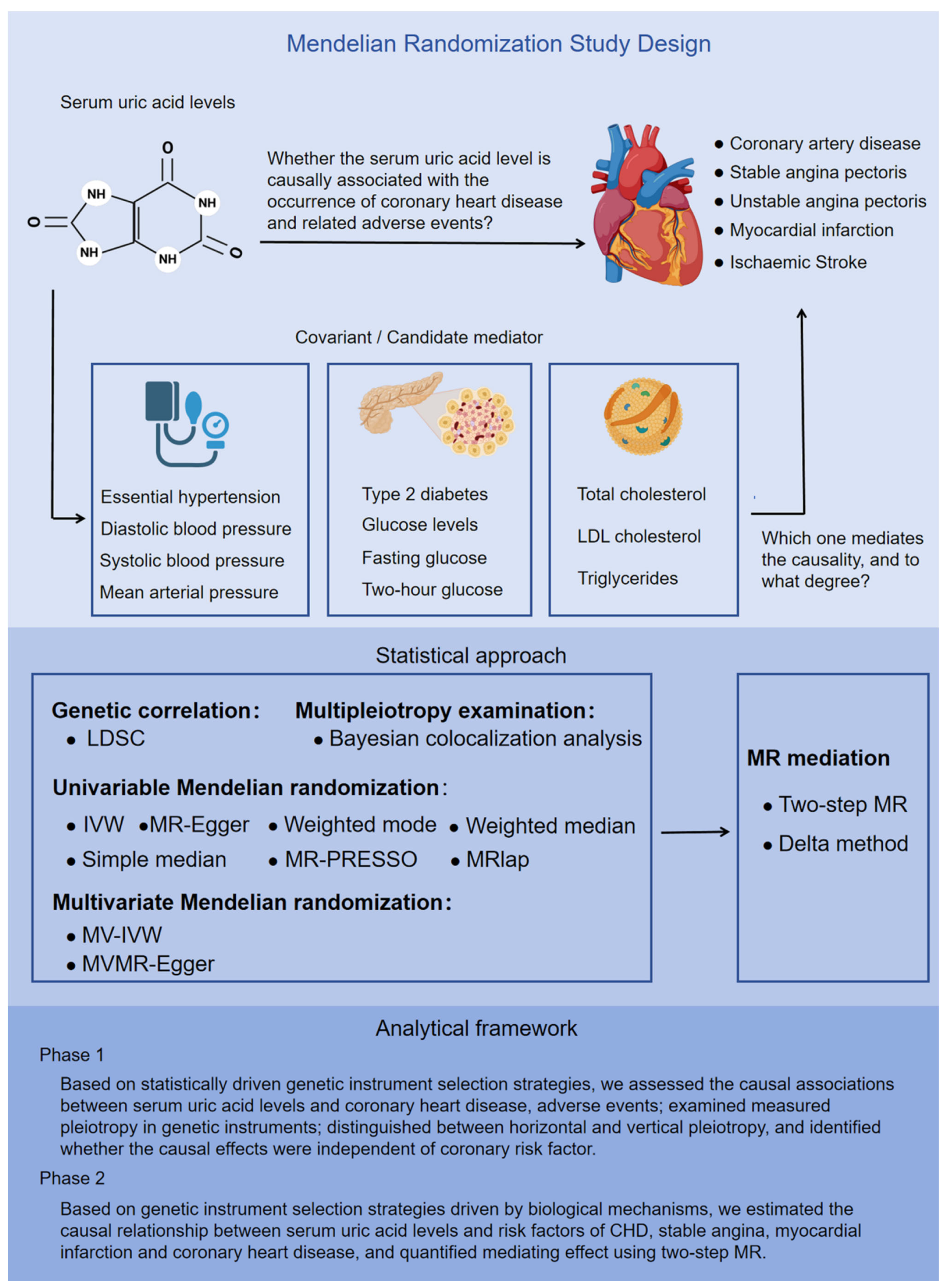 Biomedicines 13 01838 g001