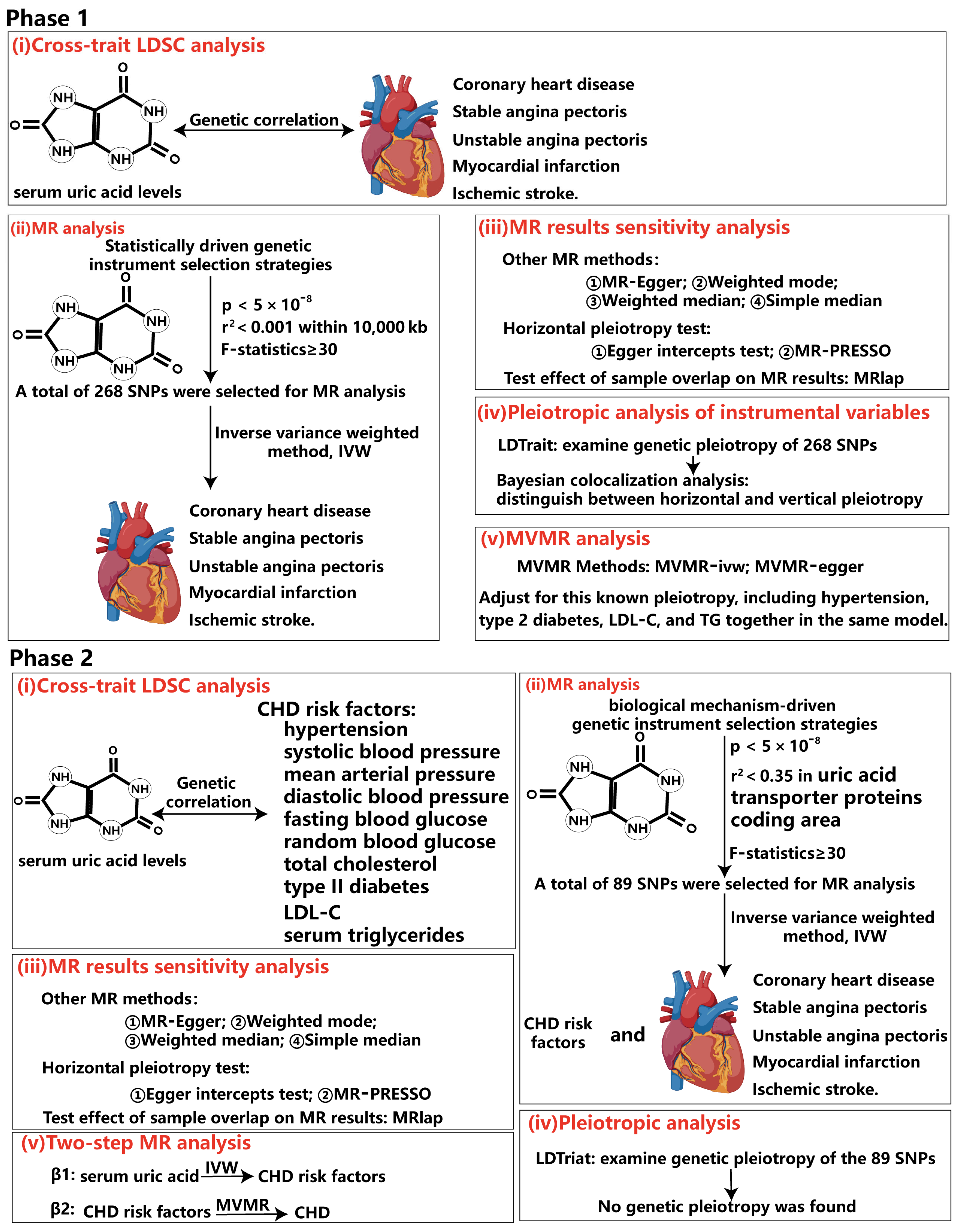 Biomedicines 13 01838 g002