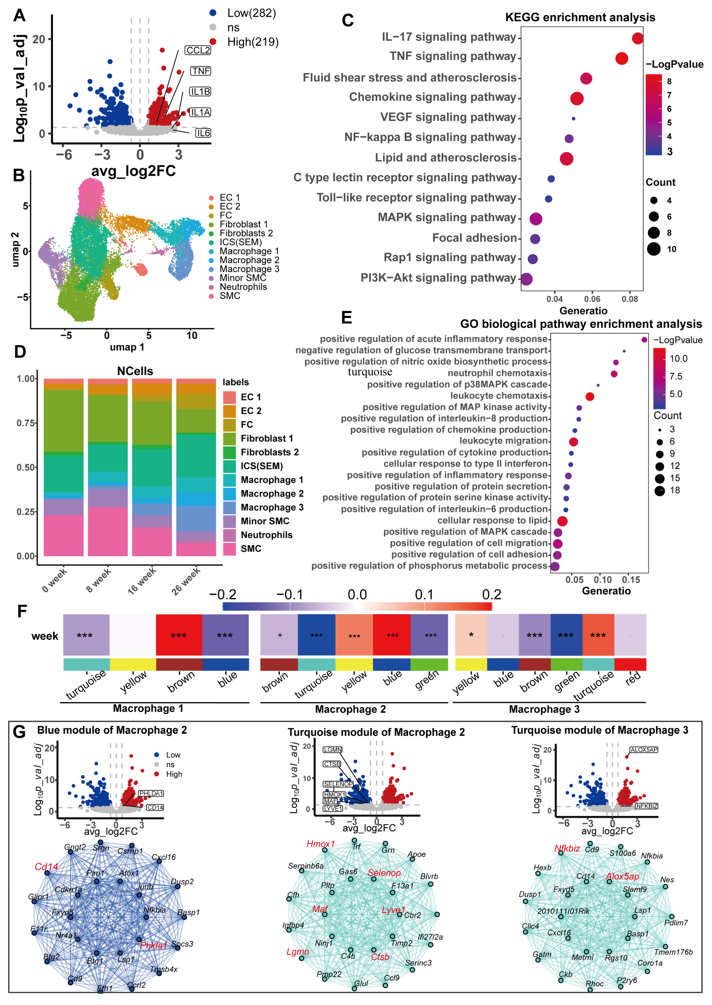 Biomedicines 13 01838 g006