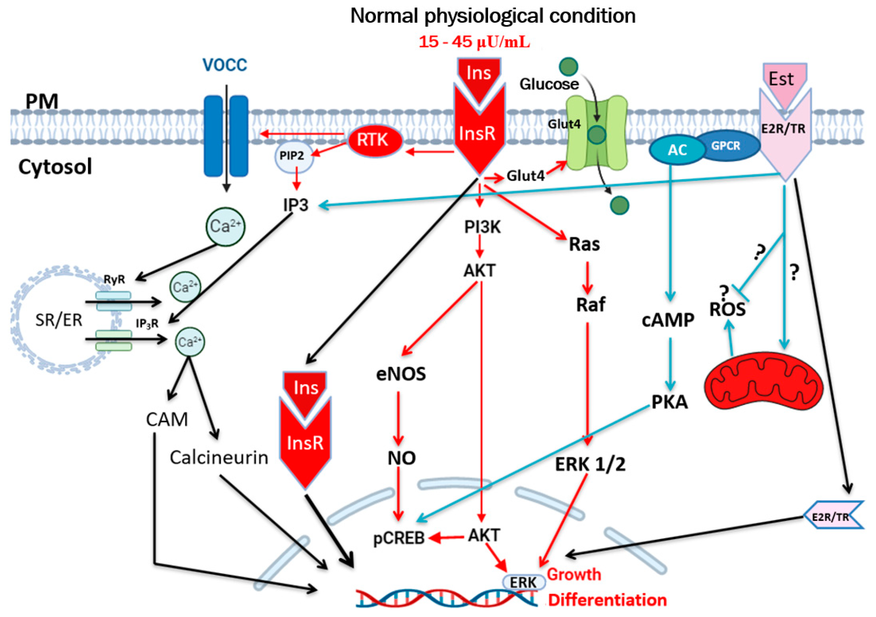 Biomedicines 13 01842 g001
