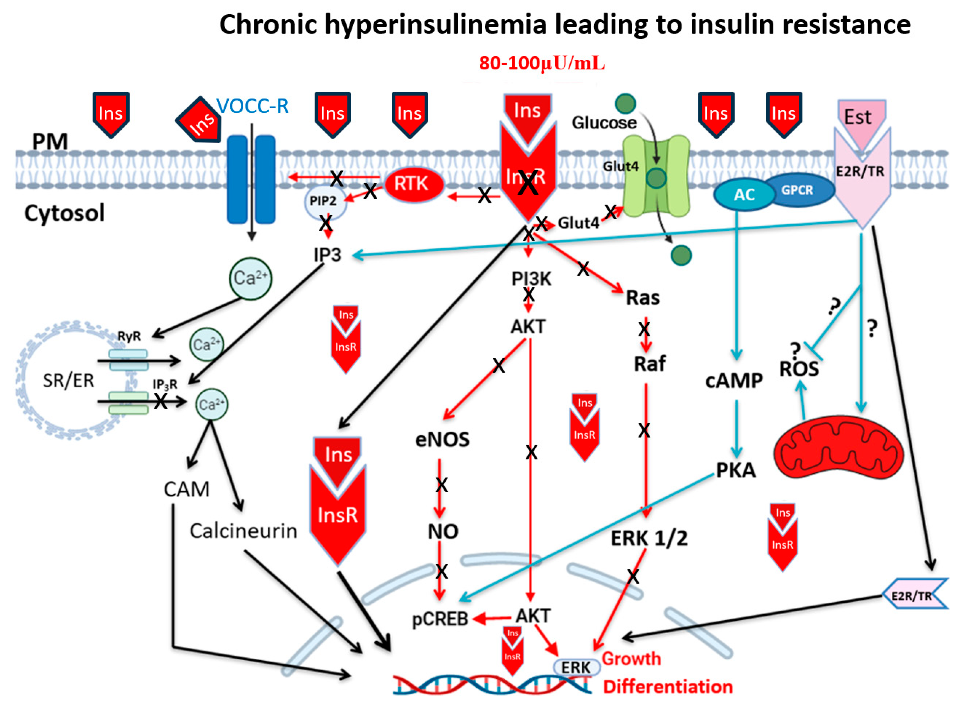 Biomedicines 13 01842 g002