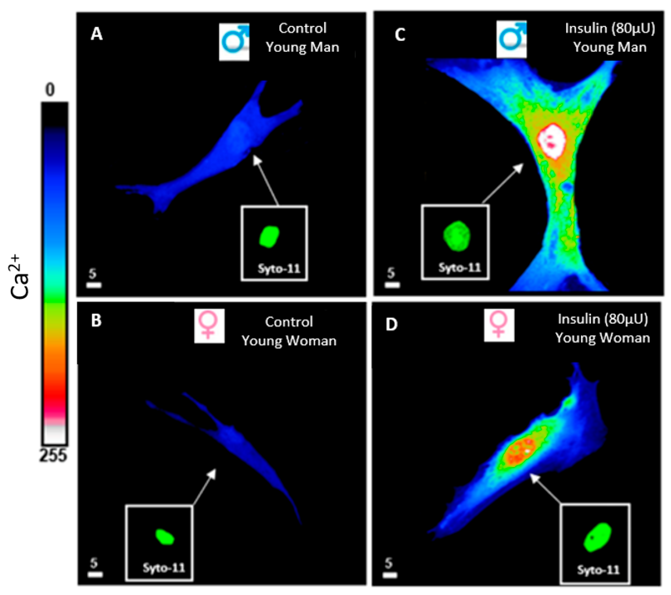 Biomedicines 13 01842 g003