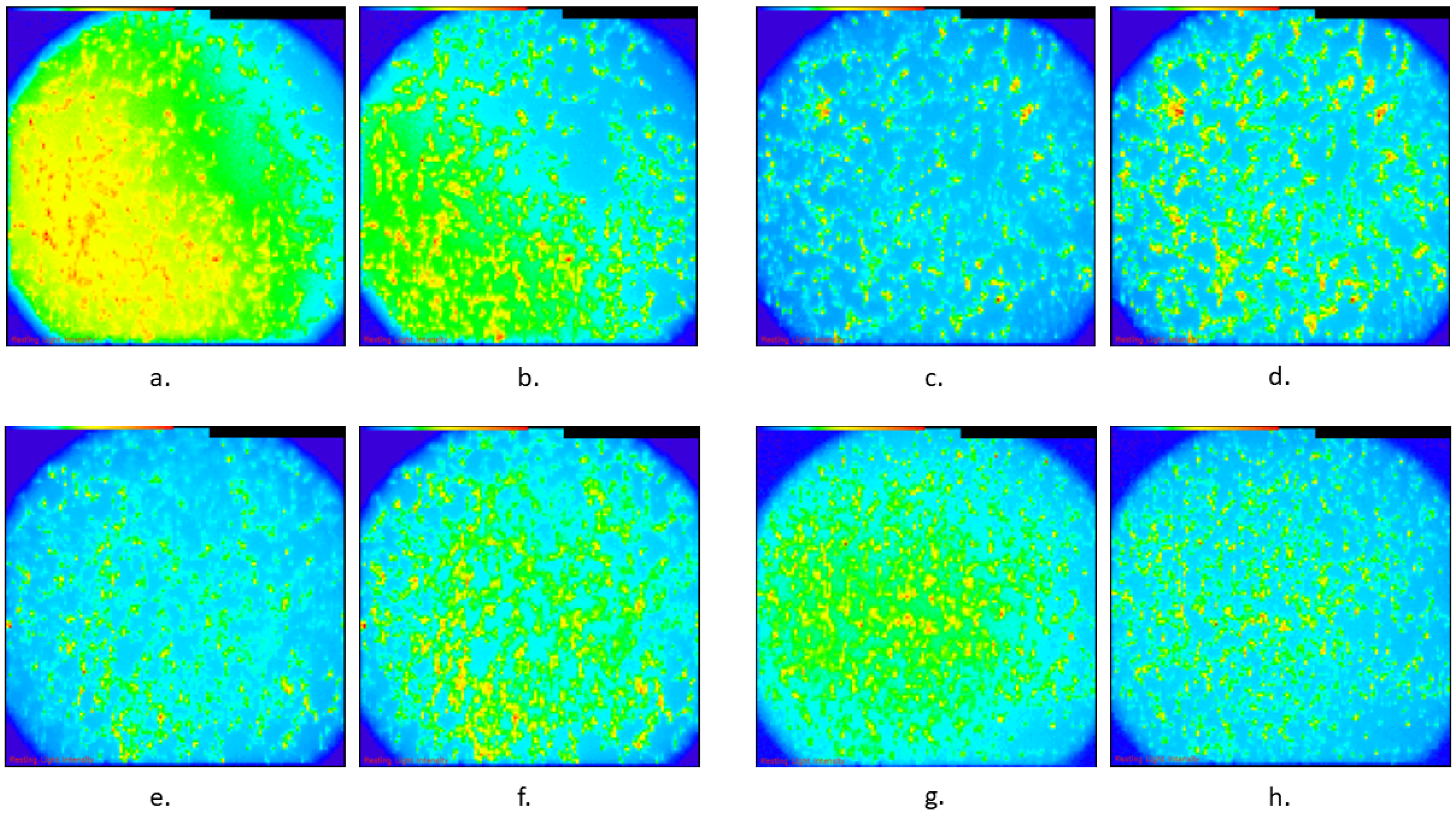 Biomedicines 13 01857 g003