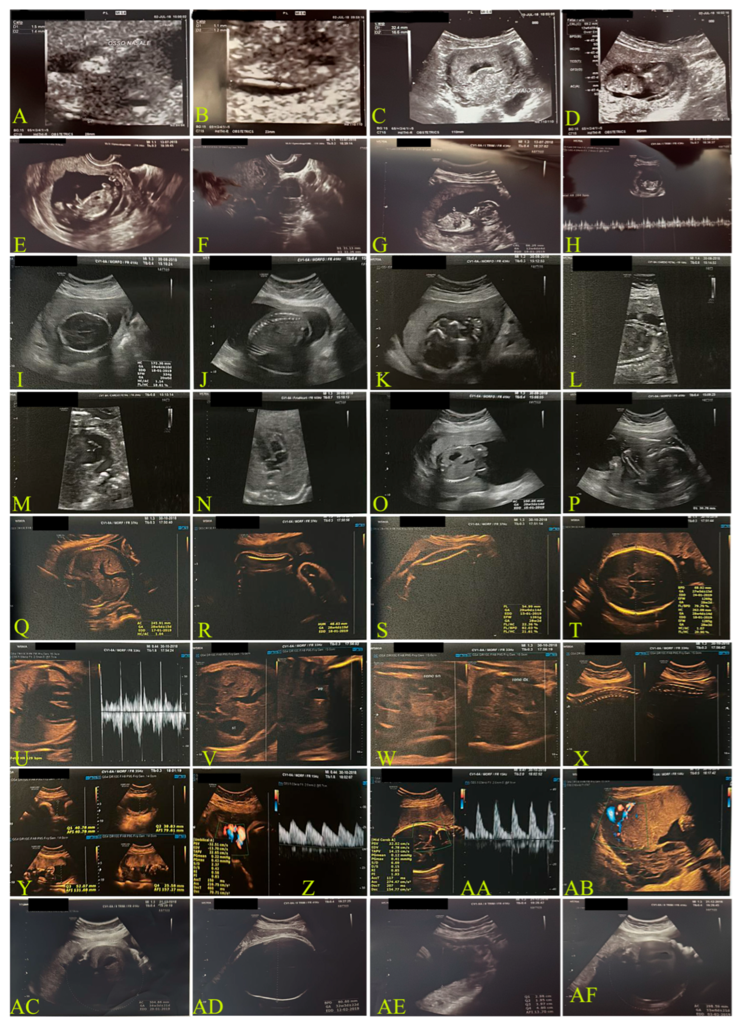 Biomedicines 13 01858 g001