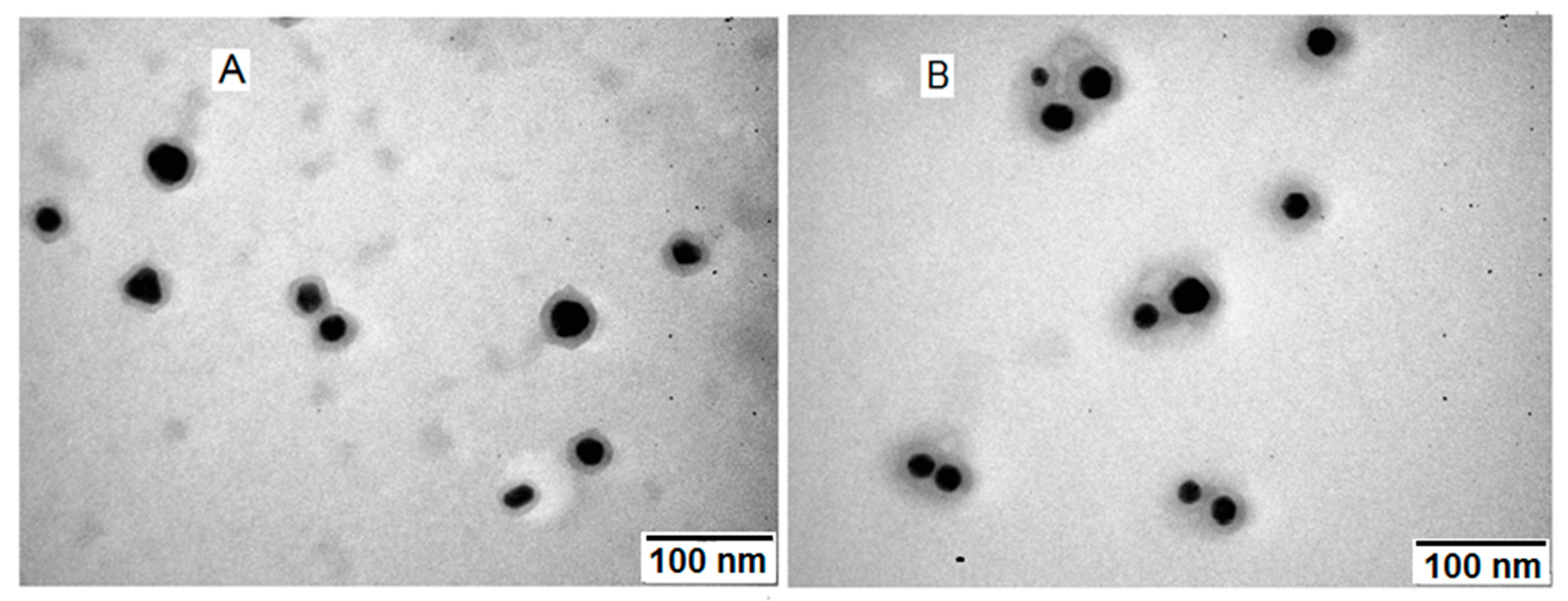 Biomedicines 13 01861 g005