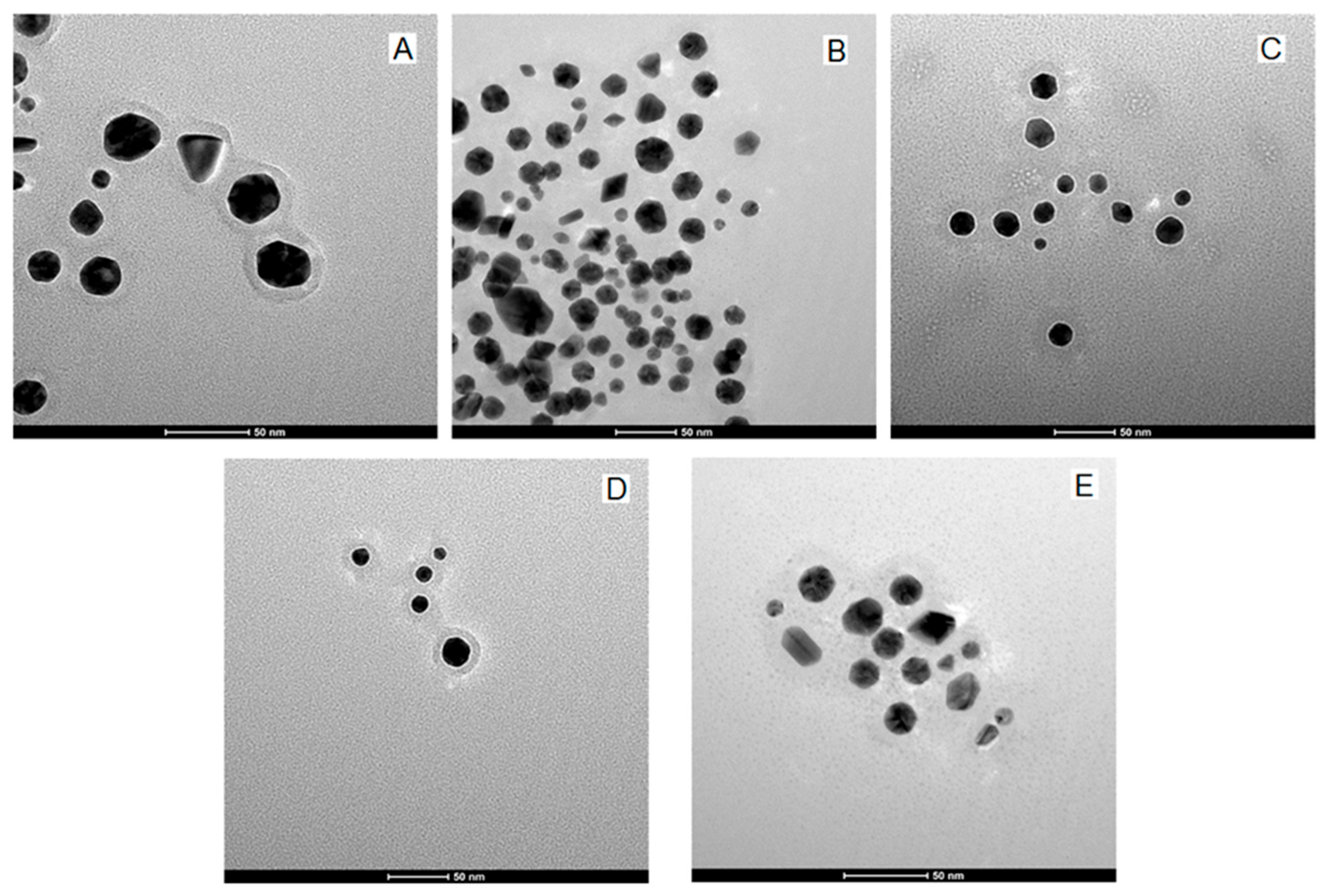 Biomedicines 13 01861 g006