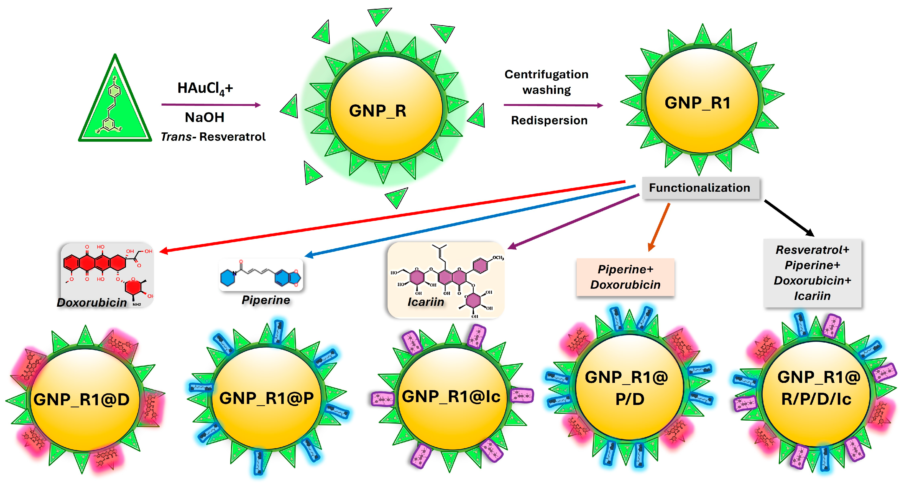 Biomedicines 13 01861 g010