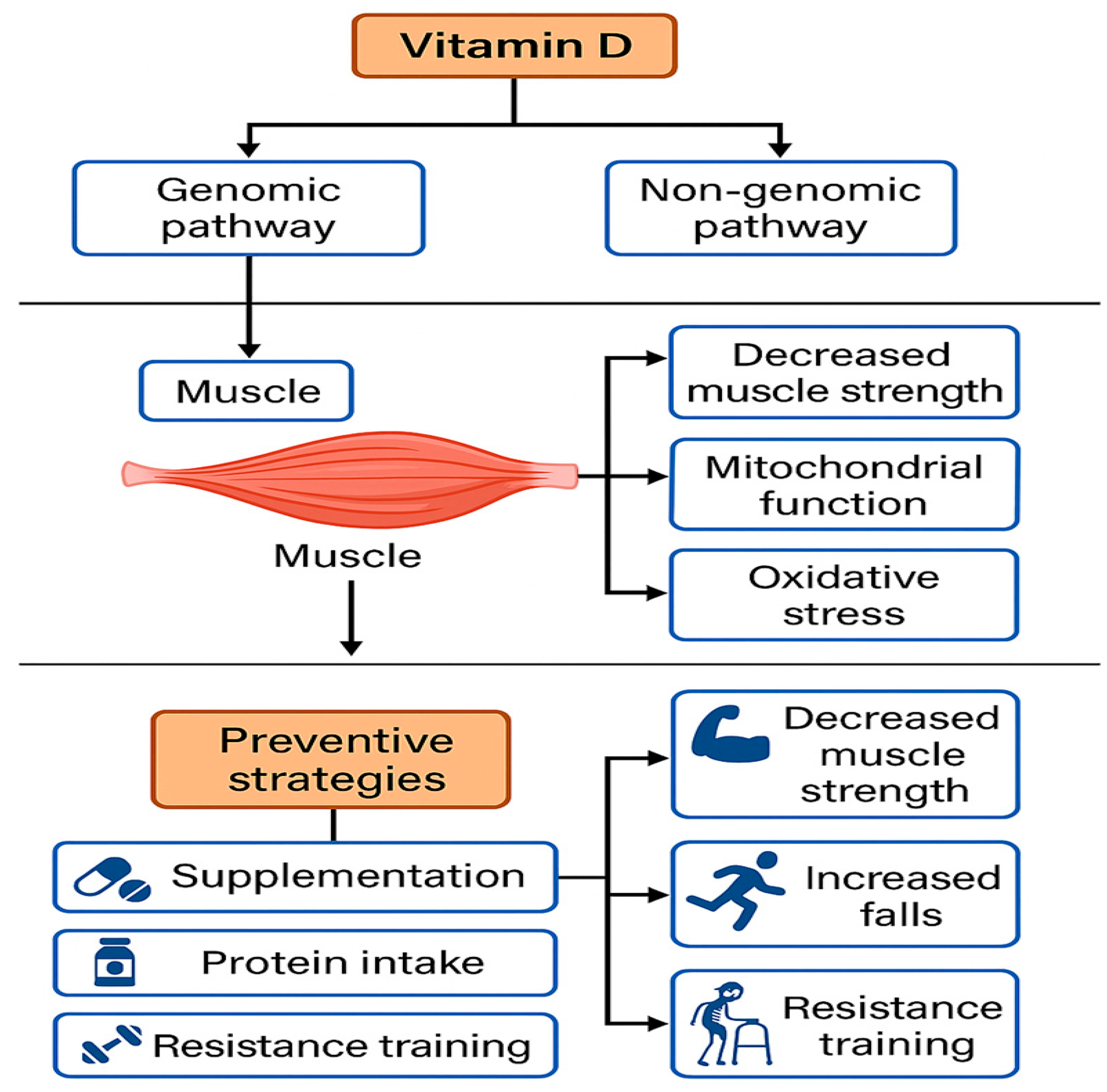 Biomedicines 13 01863 g002