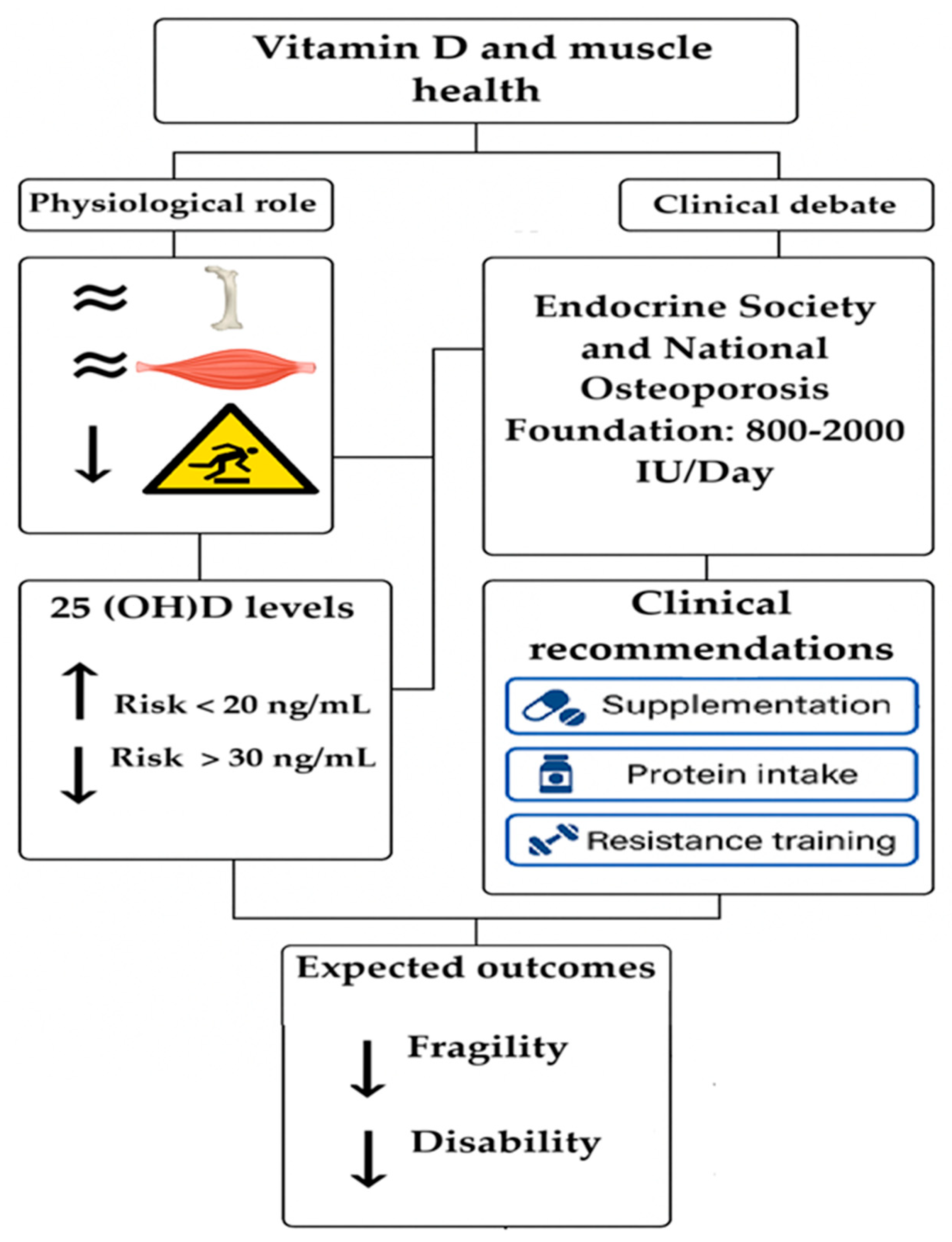 Biomedicines 13 01863 g003