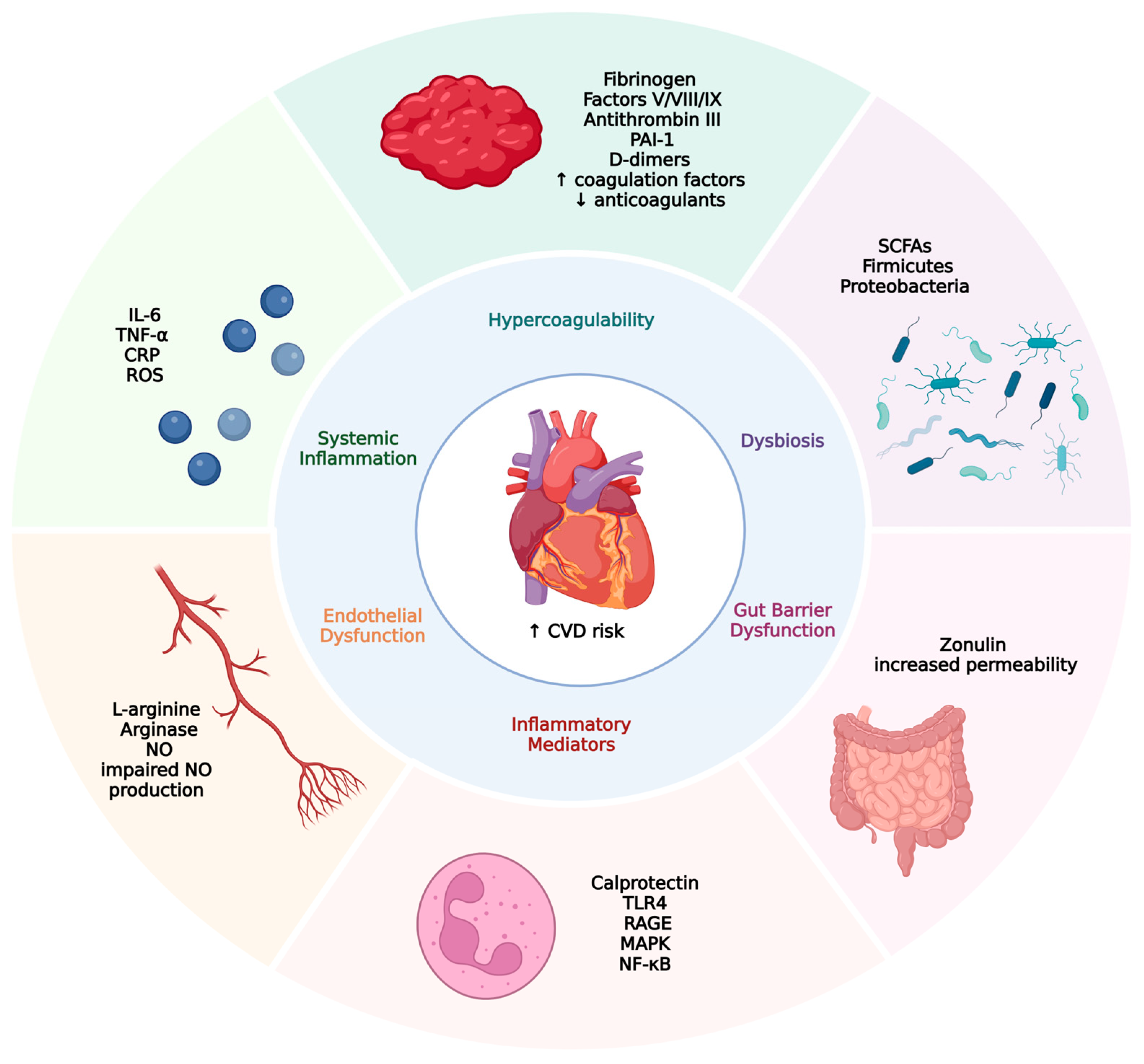 Biomedicines 13 01864 g001