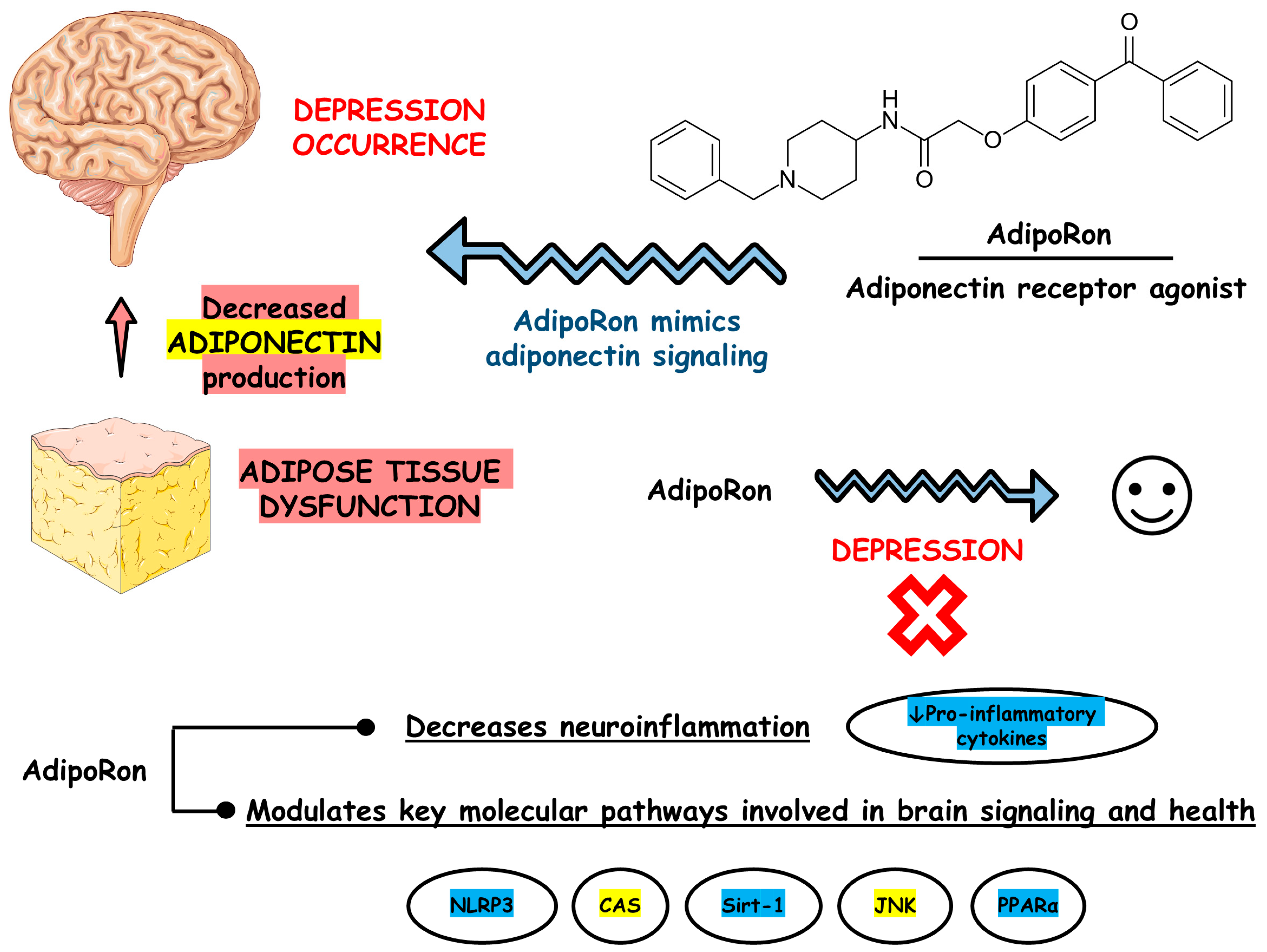 Biomedicines 13 01867 g003
