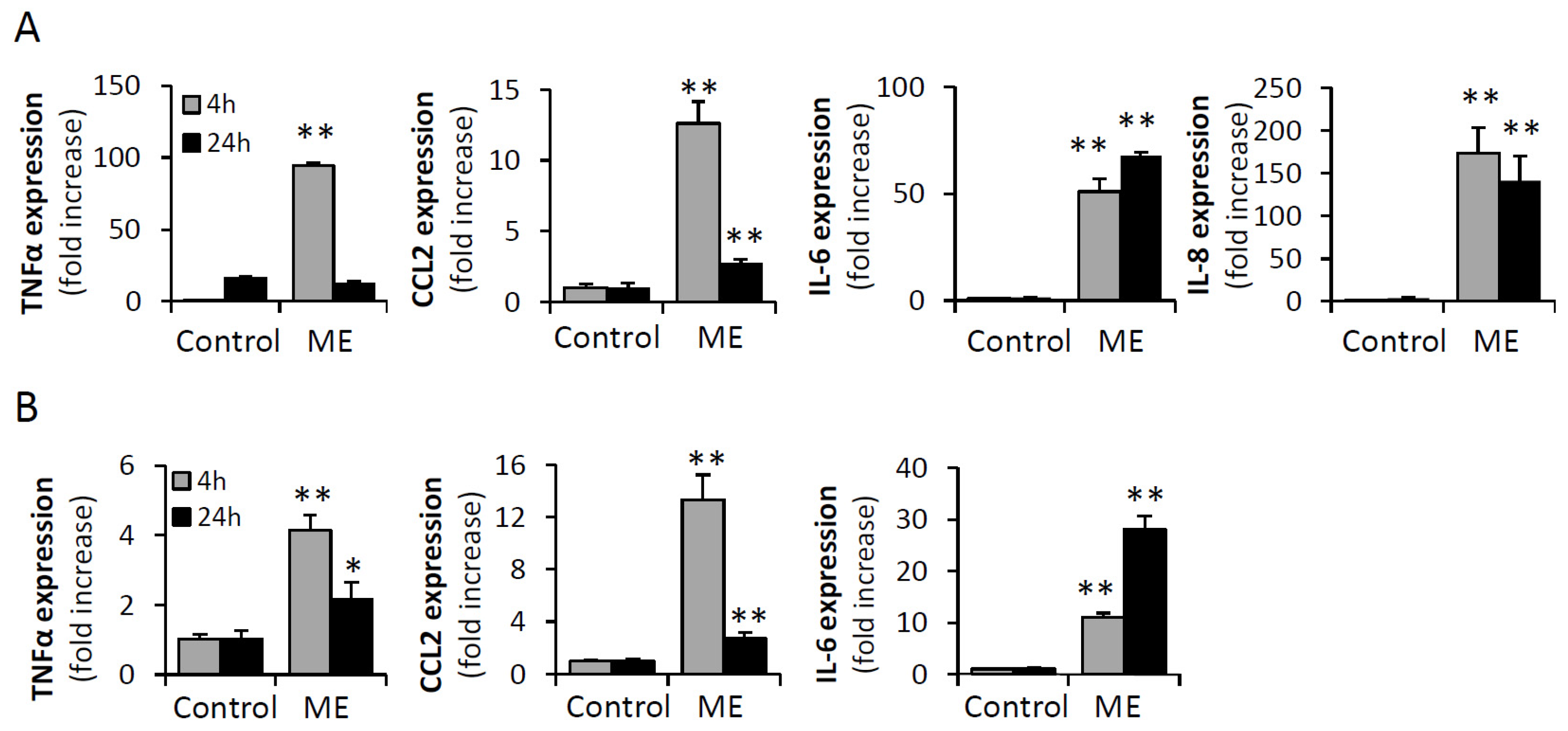 Biomedicines 13 01868 g001