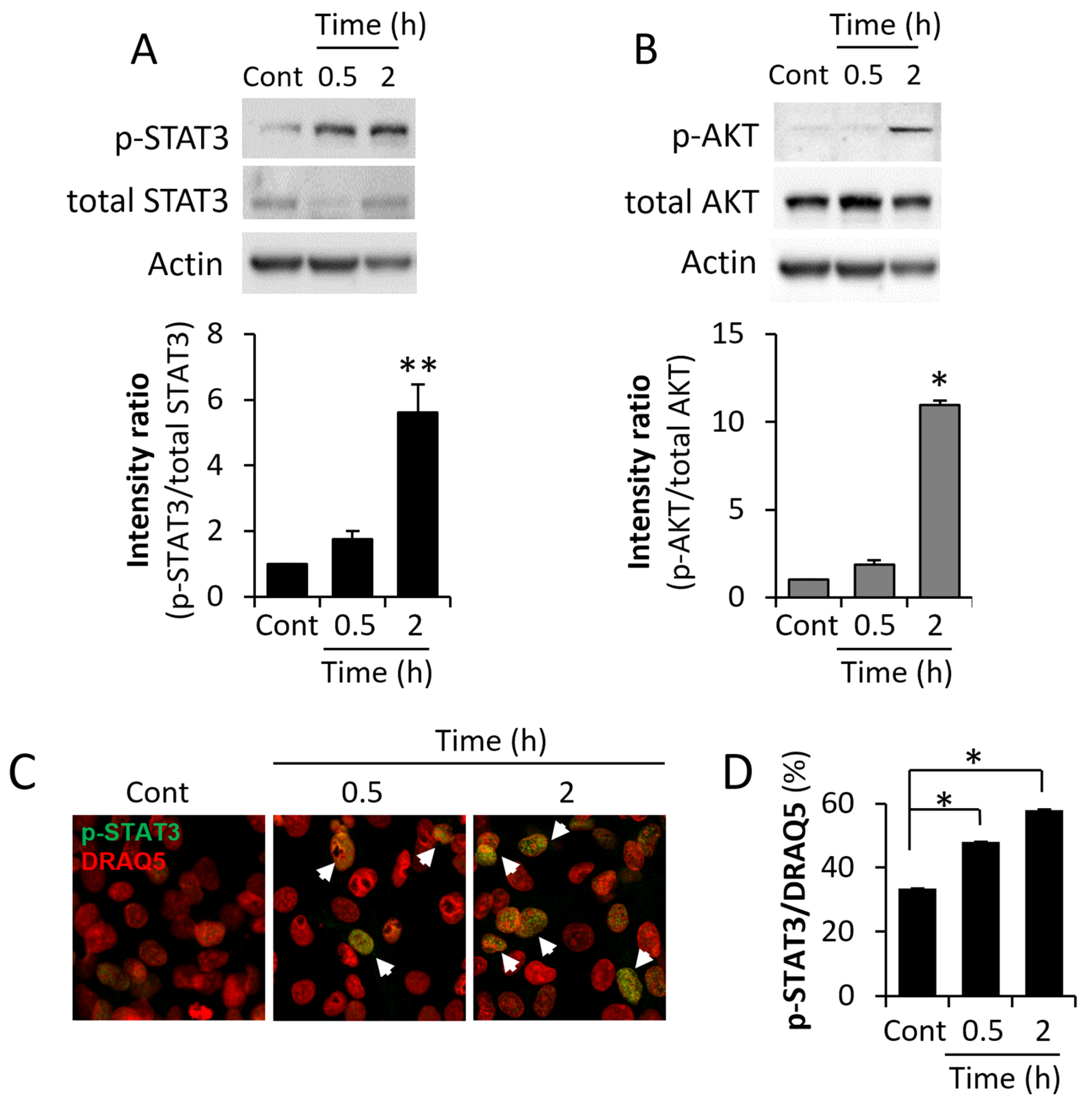 Biomedicines 13 01868 g002