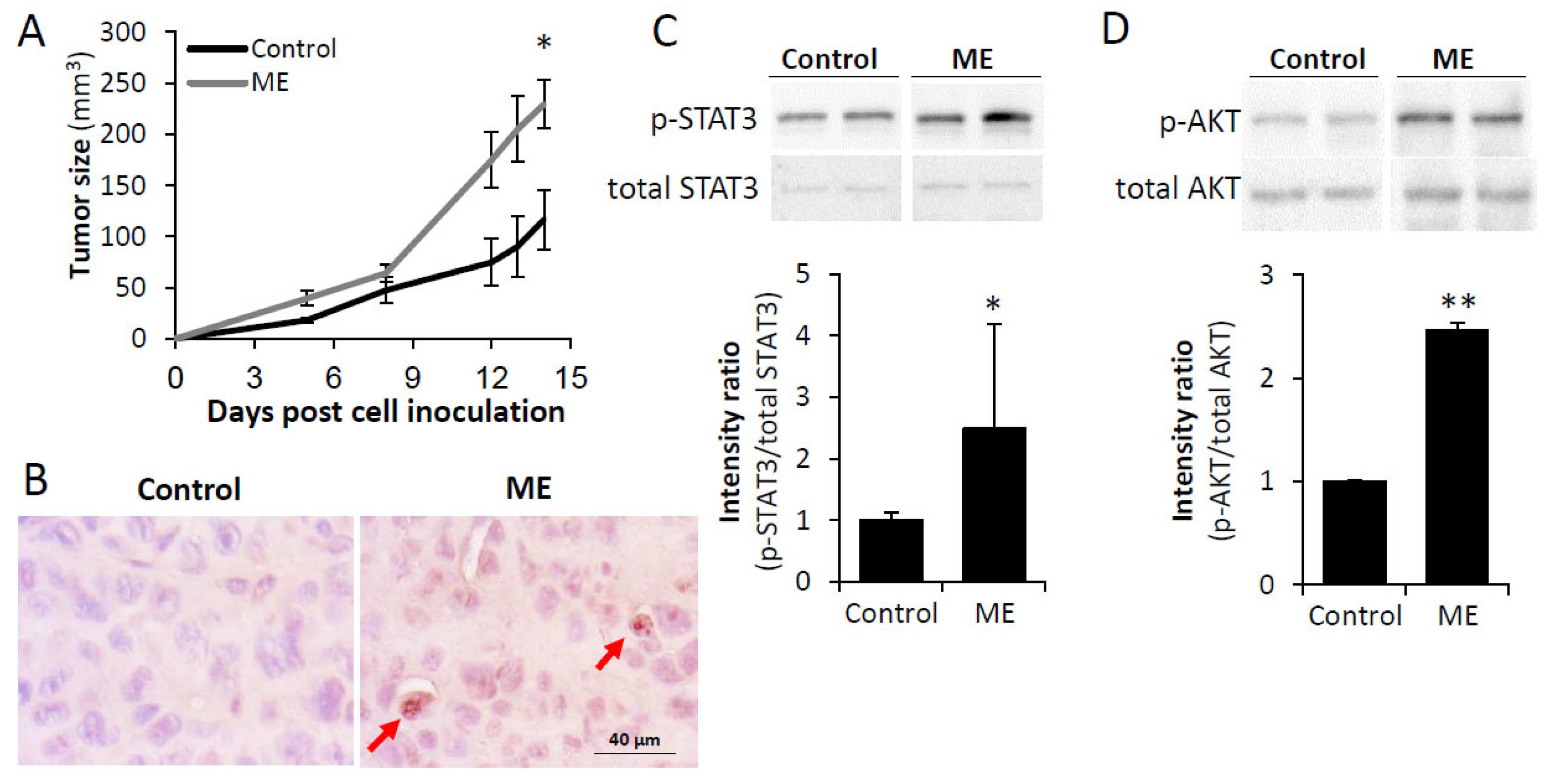 Biomedicines 13 01868 g004