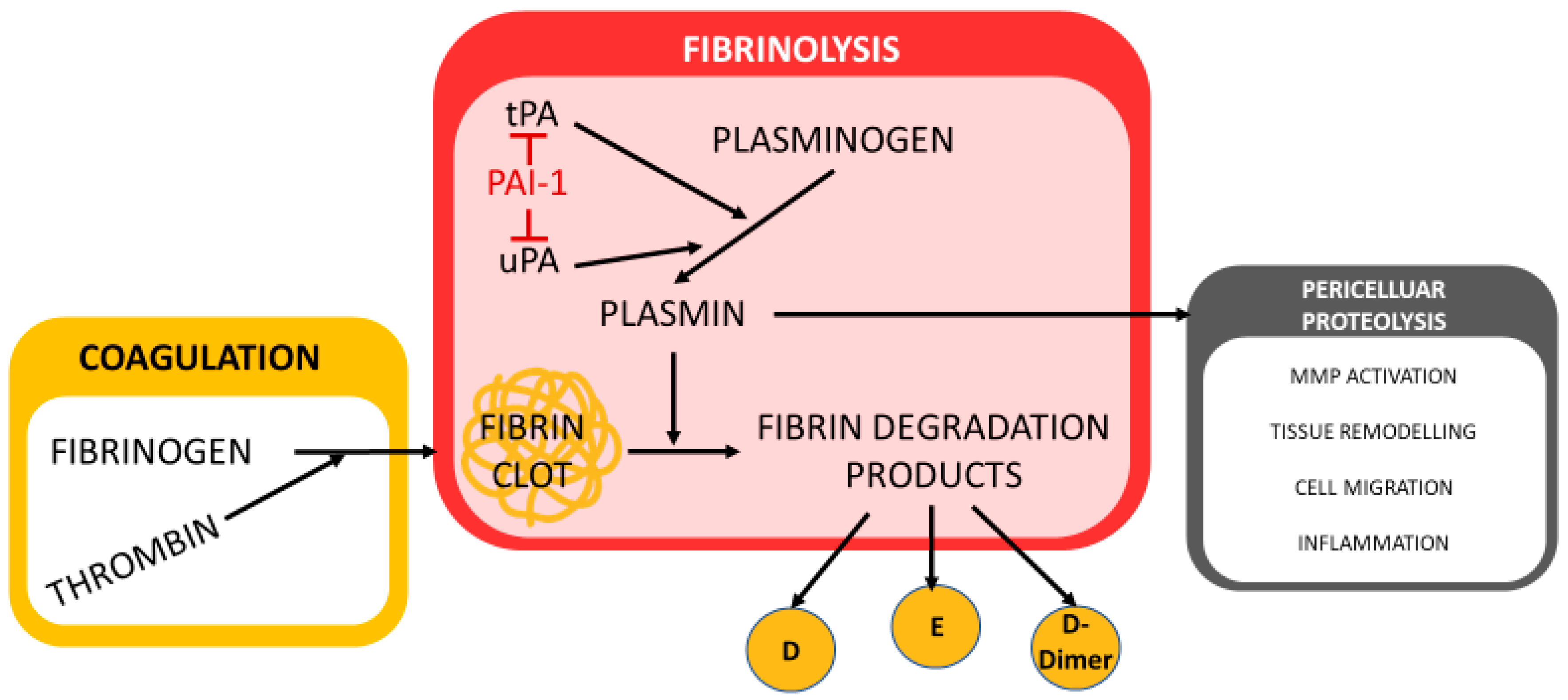 Biomedicines 13 01869 g002