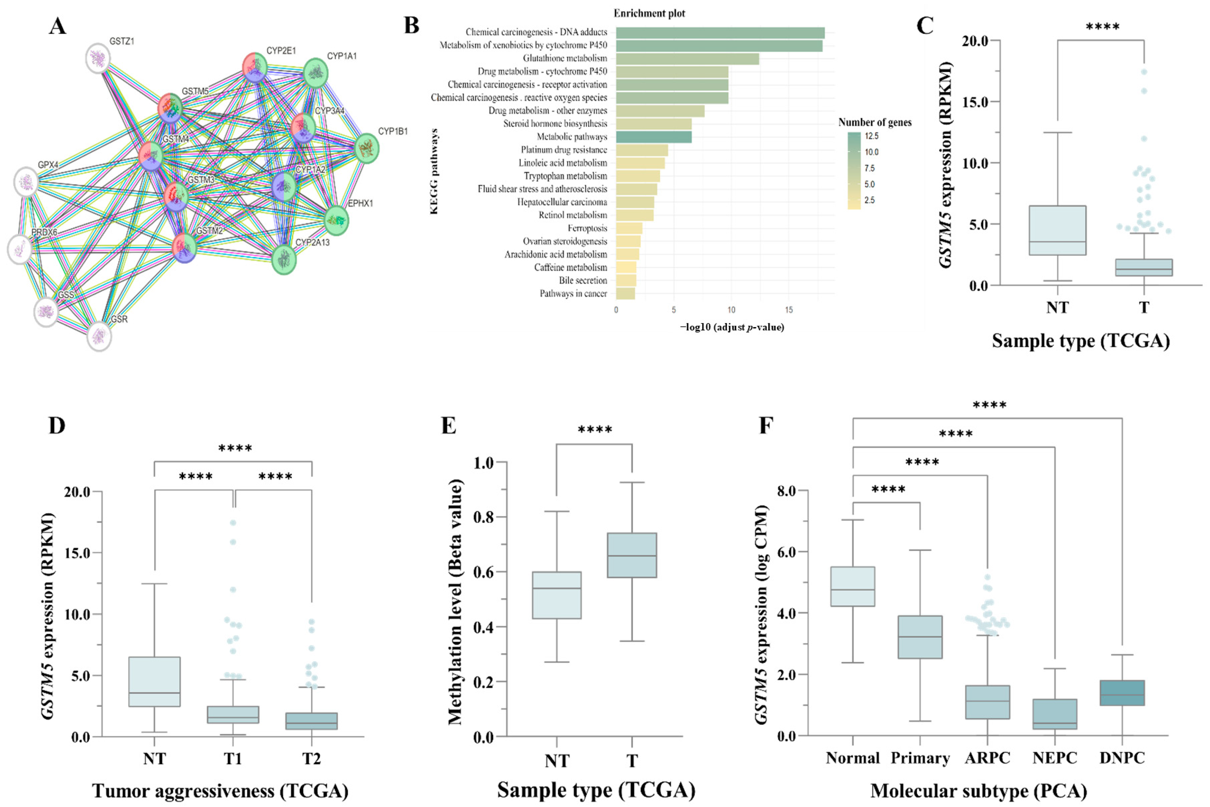 Biomedicines 13 01872 g001