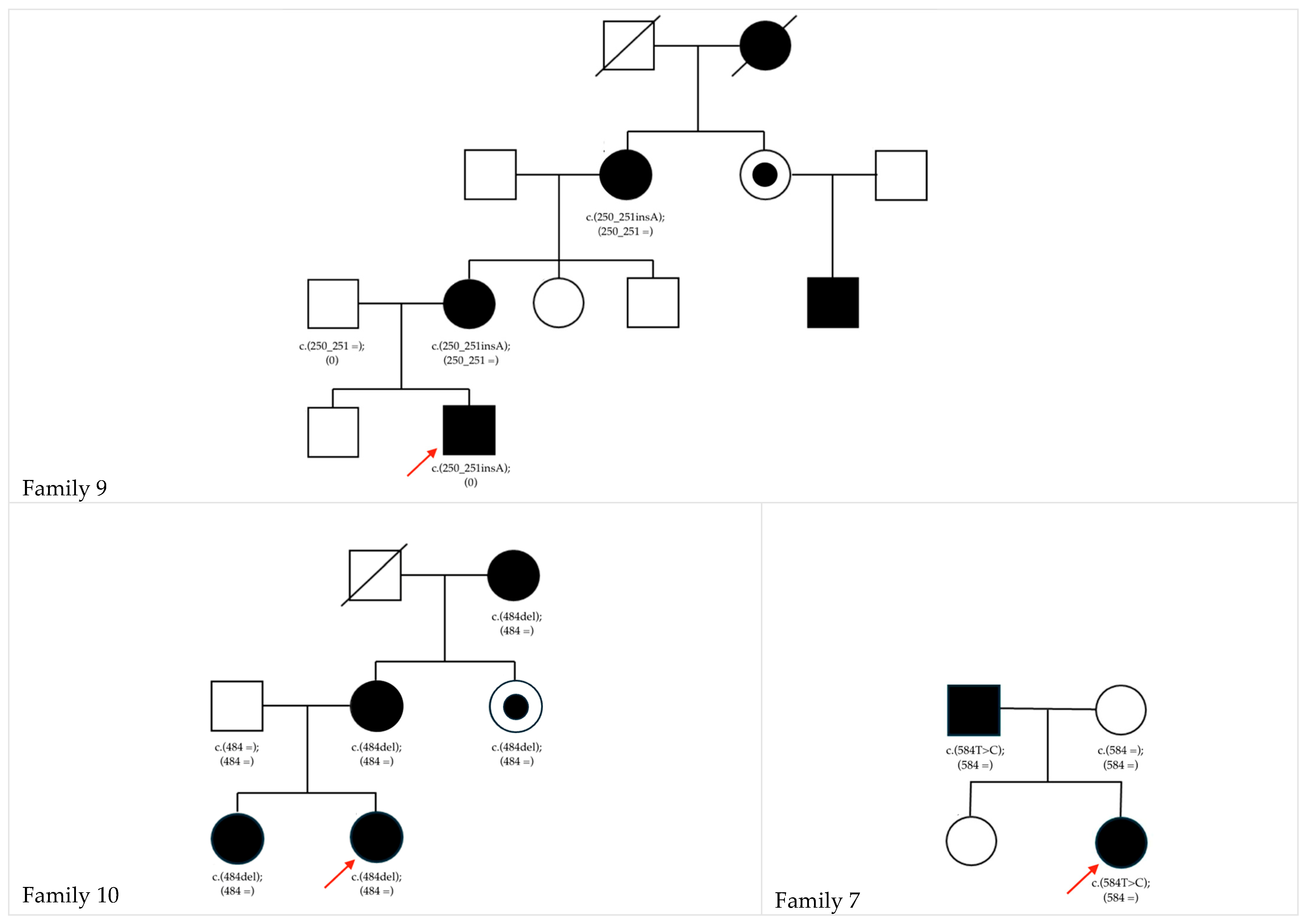 Biomedicines 13 01883 g001