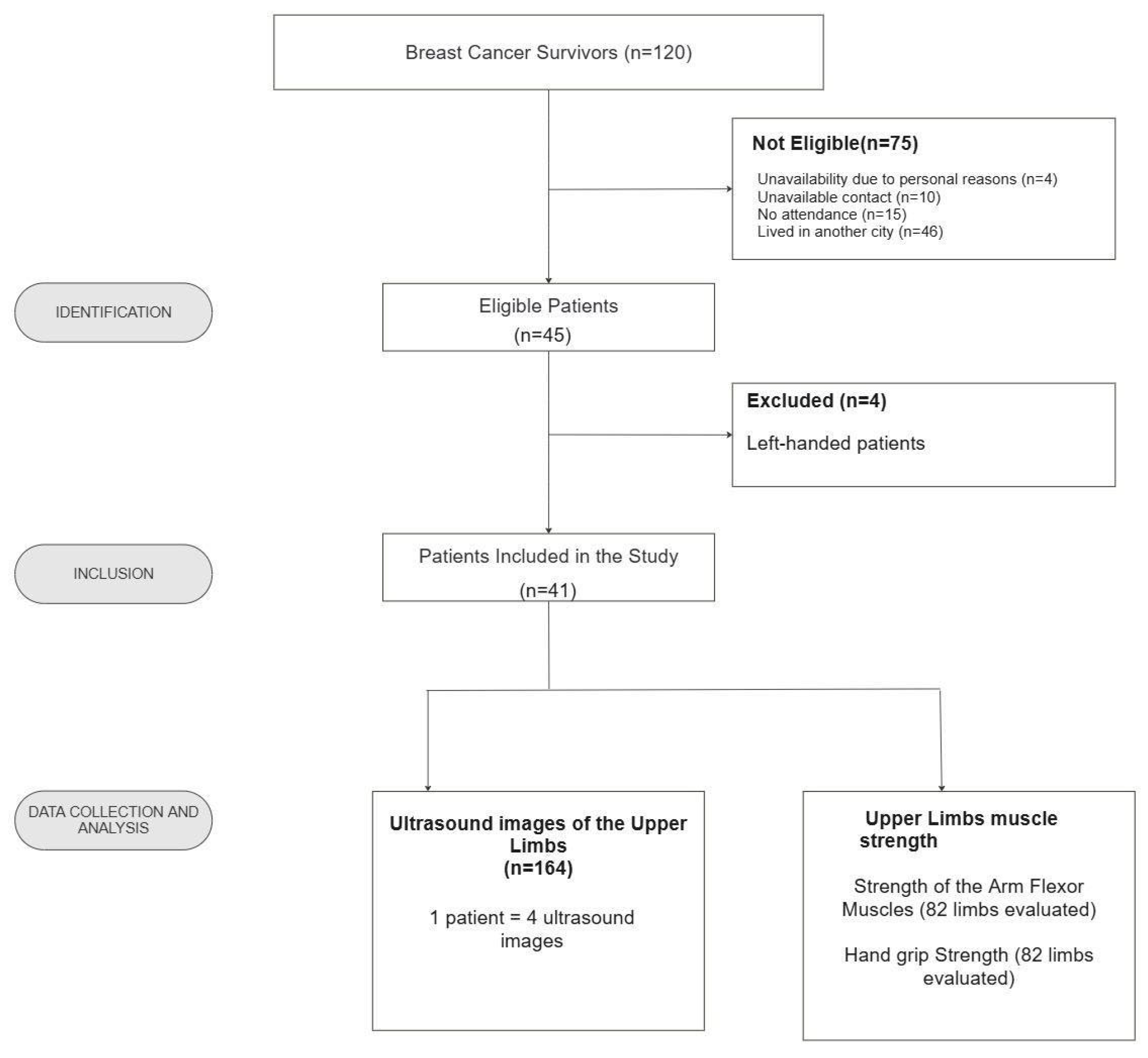Biomedicines 13 01884 g003