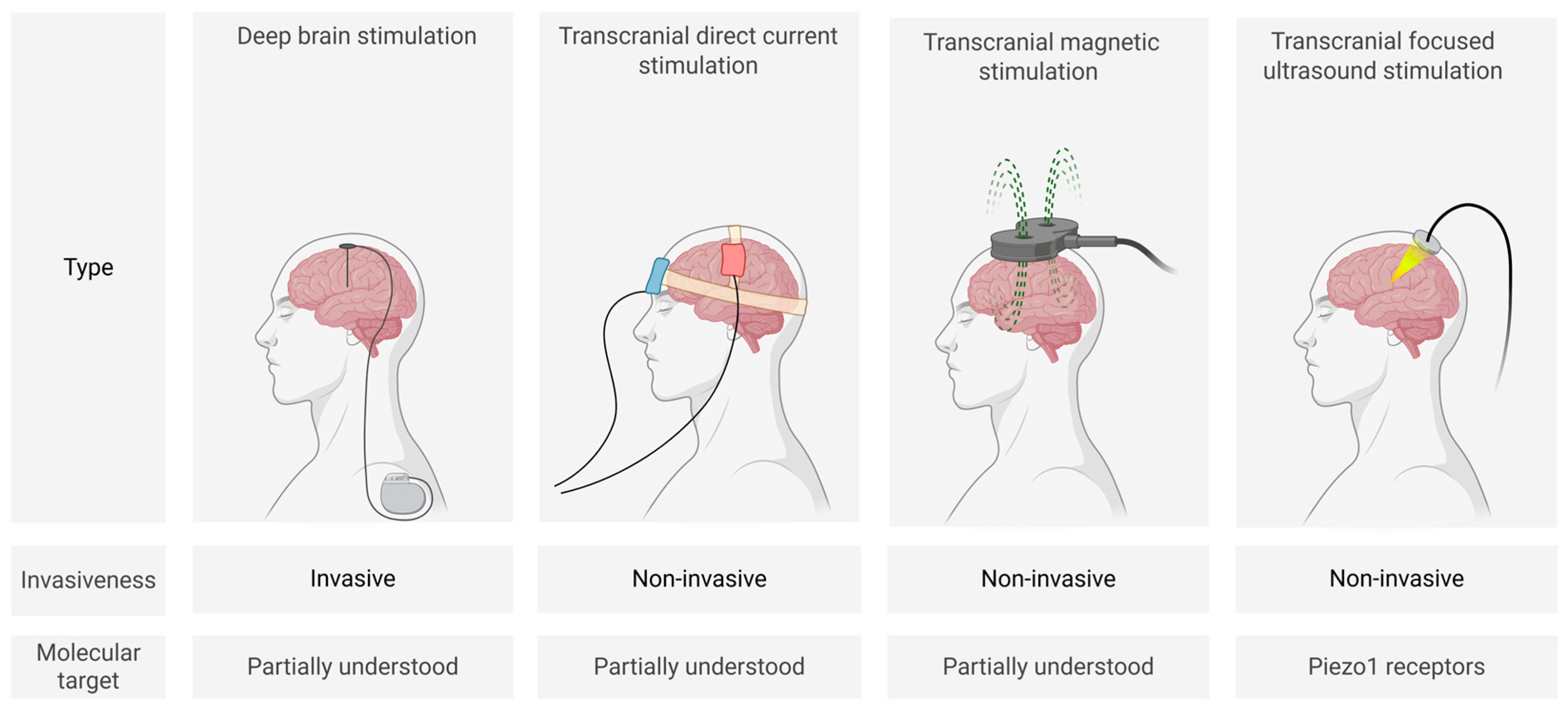 Biomedicines 13 01889 g001