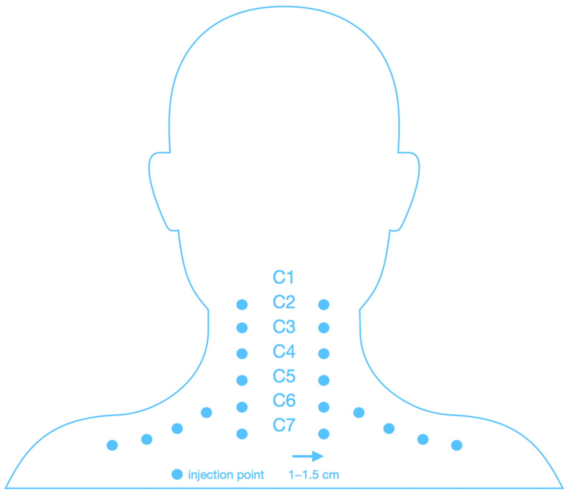 Biomedicines 13 01893 g002