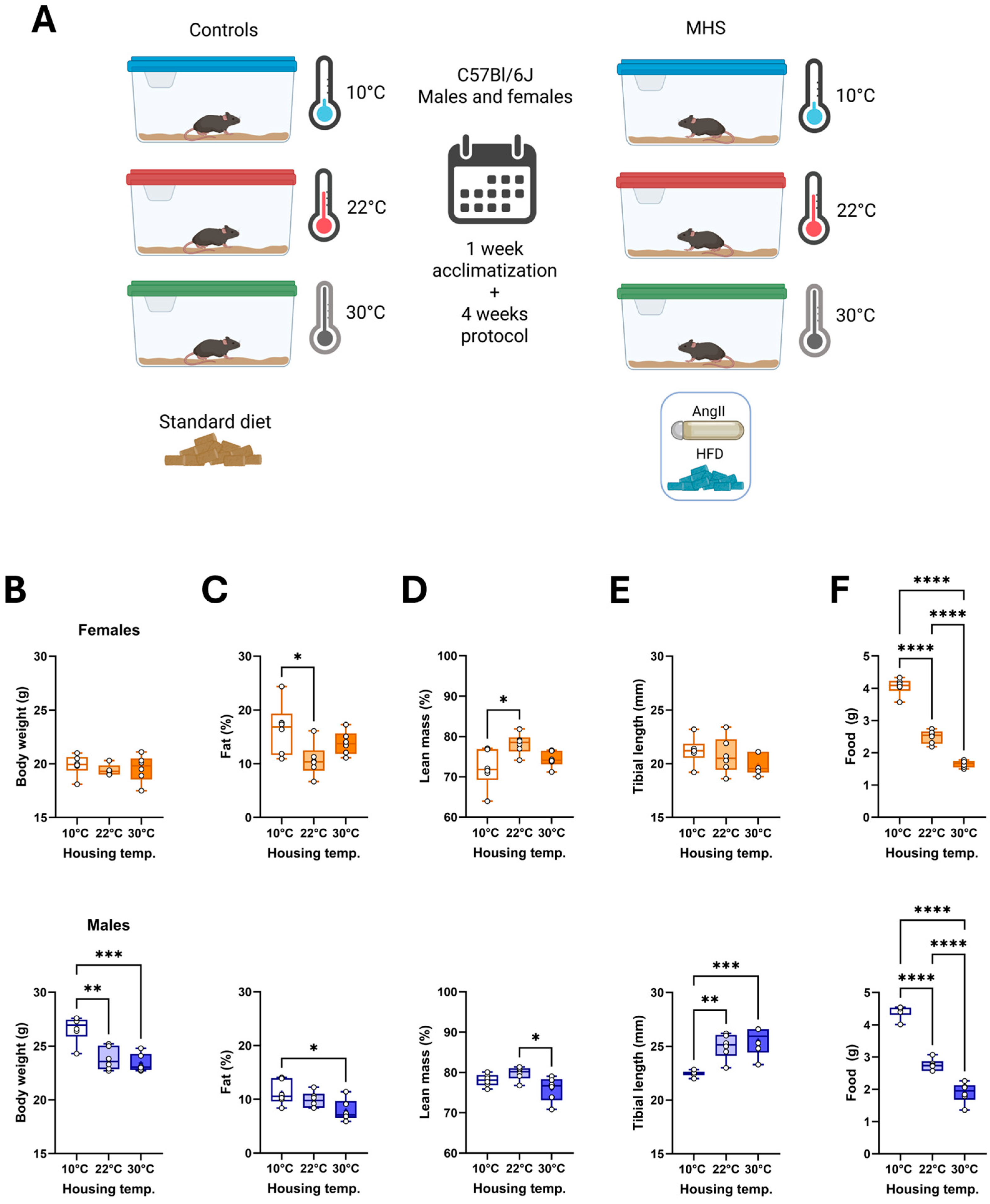 Biomedicines 13 01900 g001