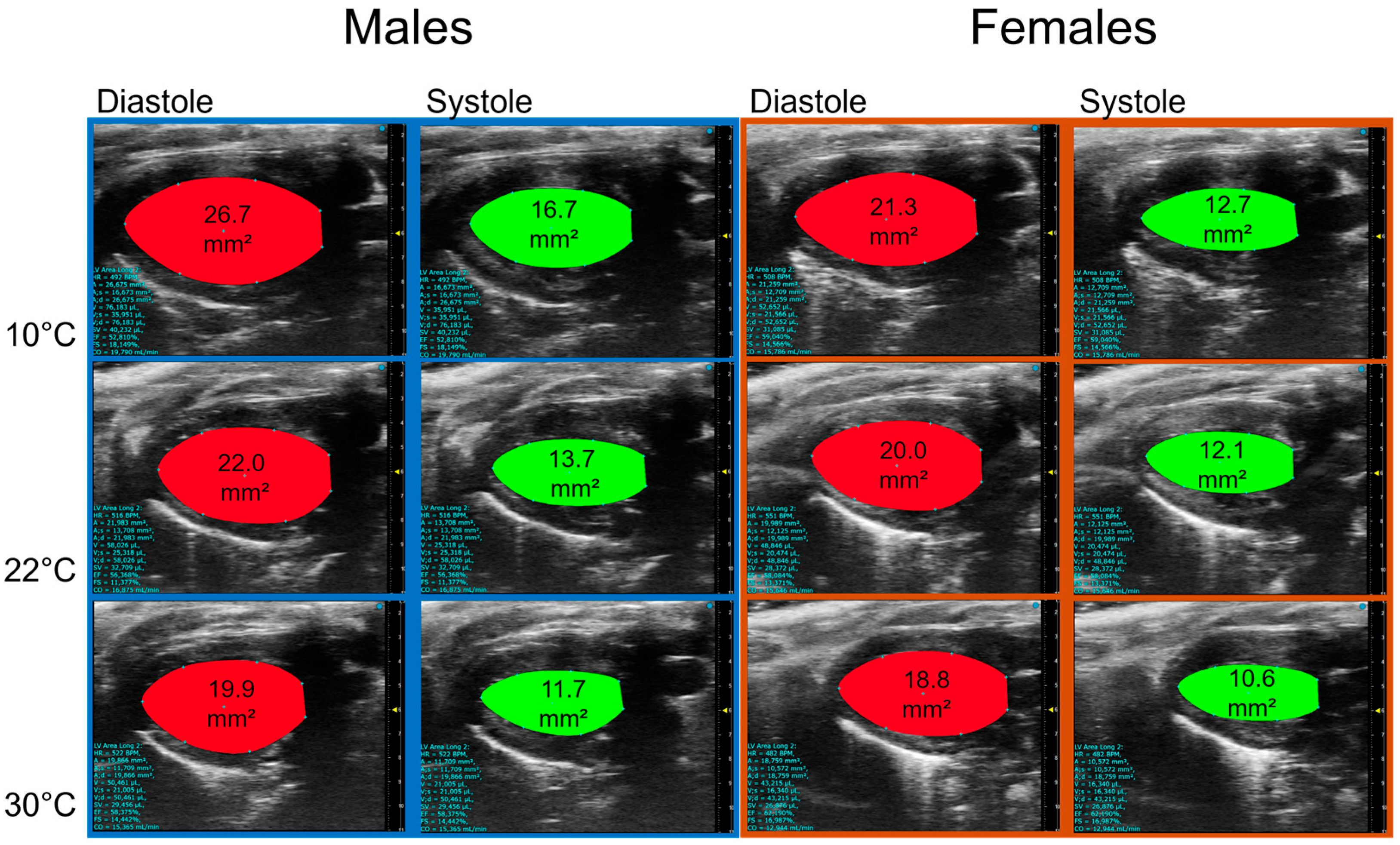 Biomedicines 13 01900 g003