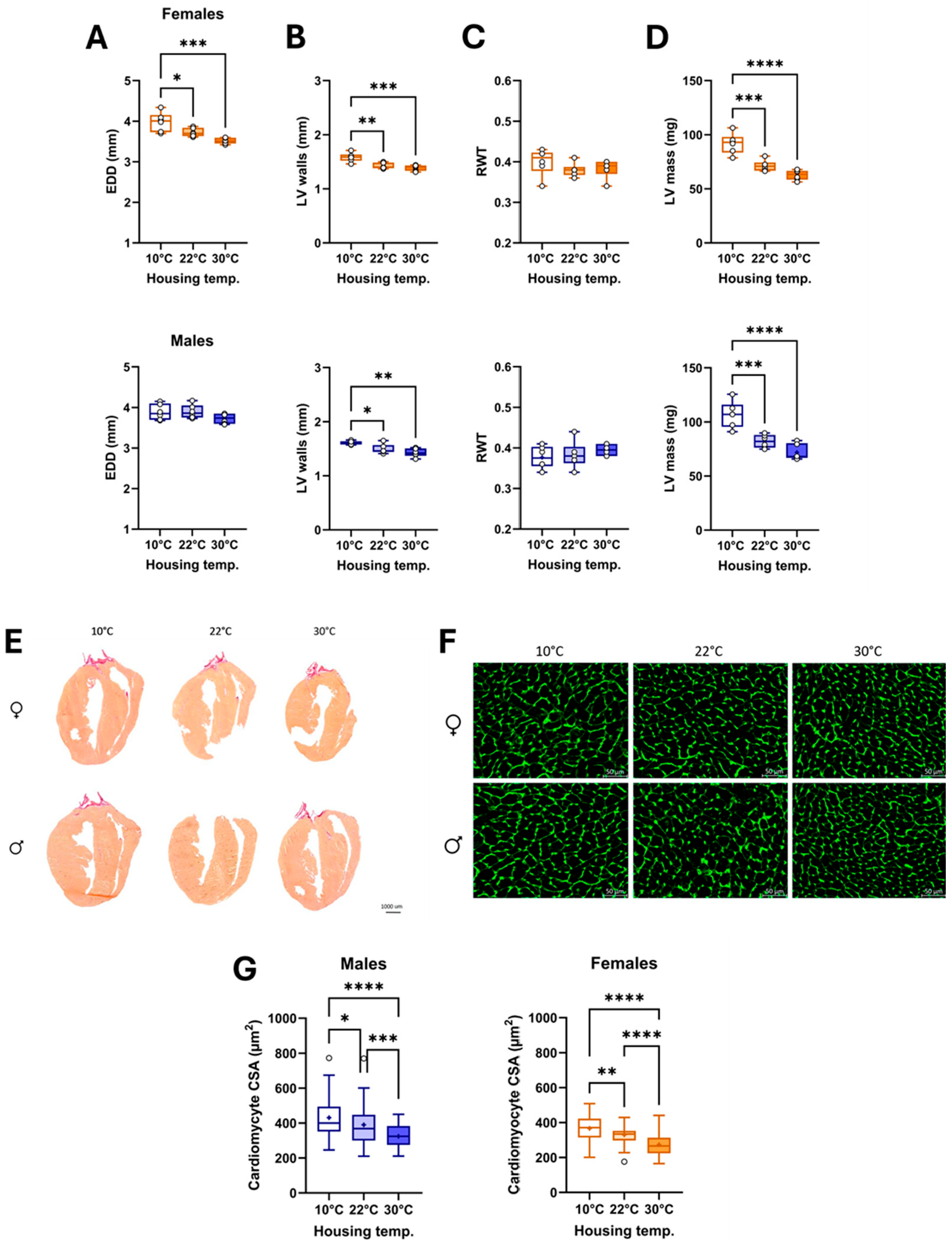 Biomedicines 13 01900 g004