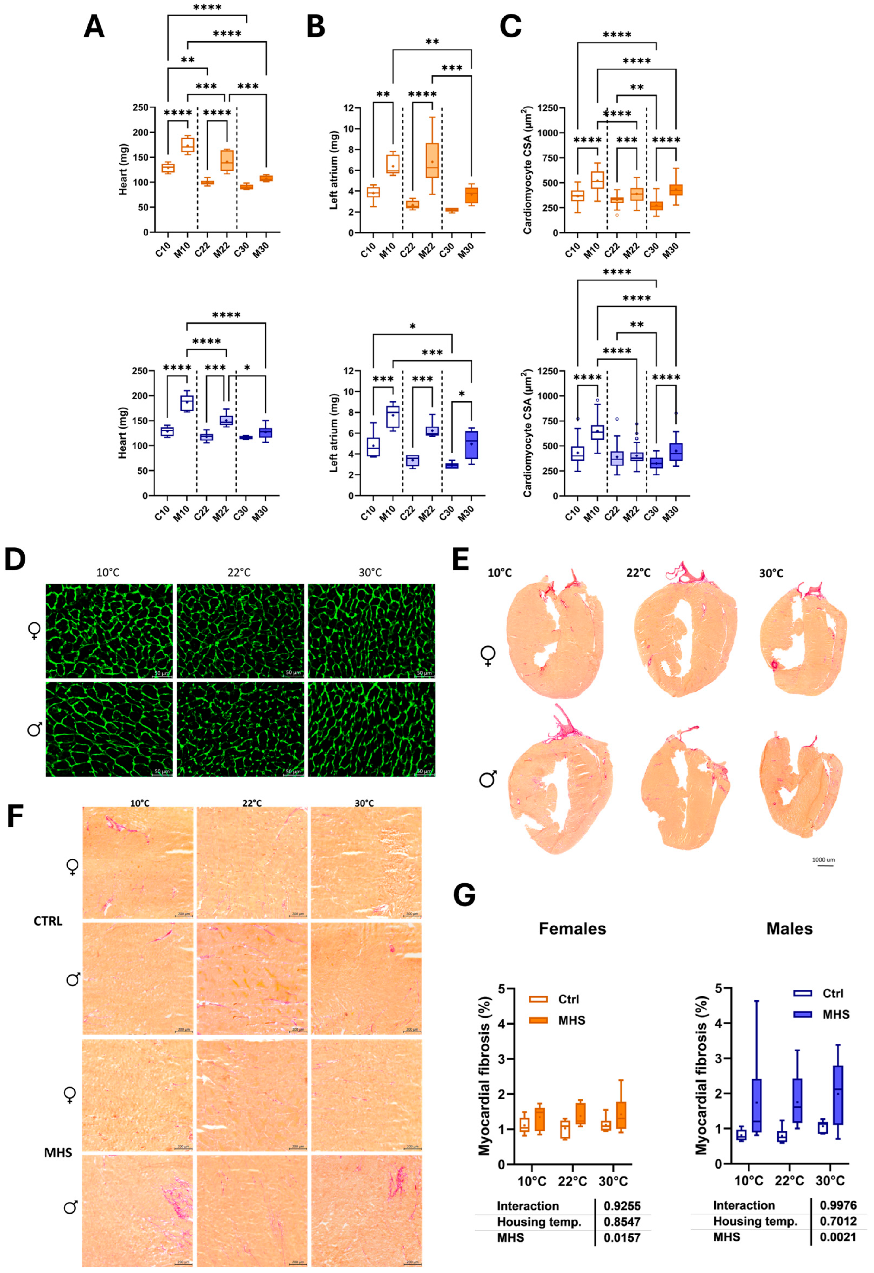 Biomedicines 13 01900 g005