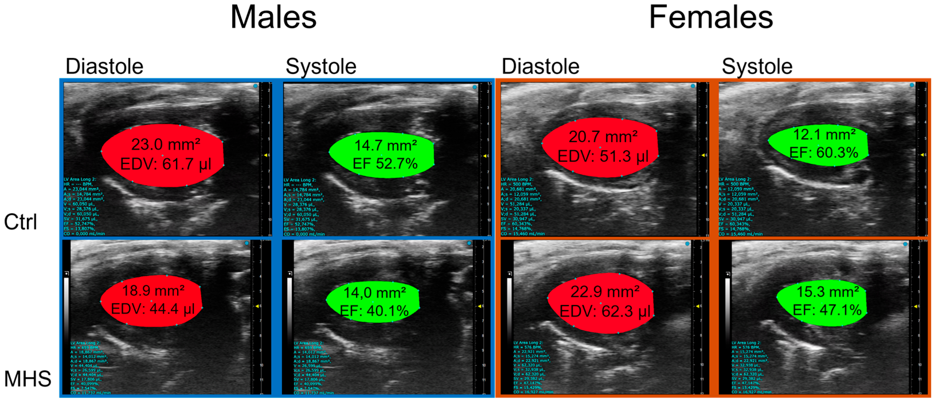 Biomedicines 13 01900 g007
