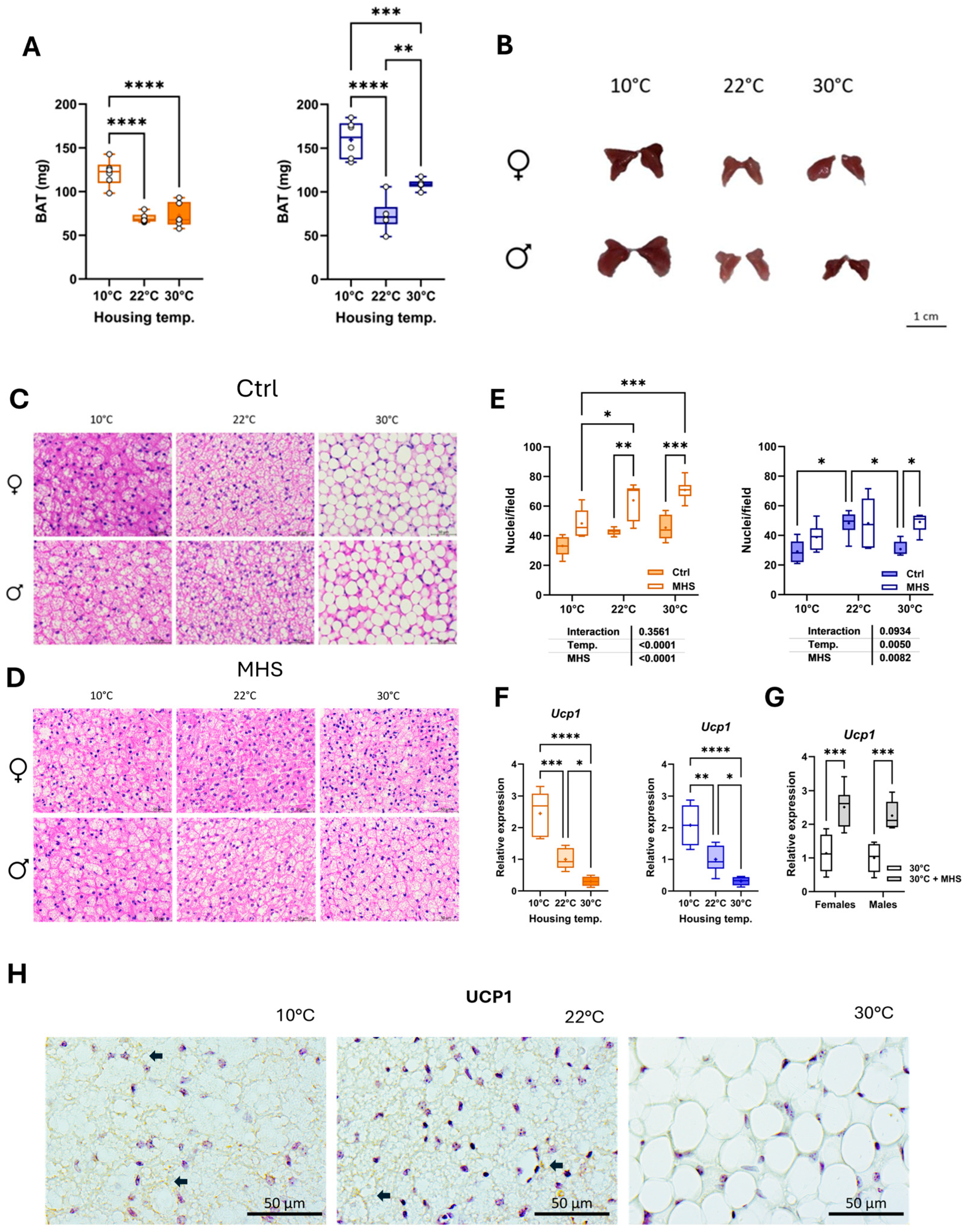 Biomedicines 13 01900 g009