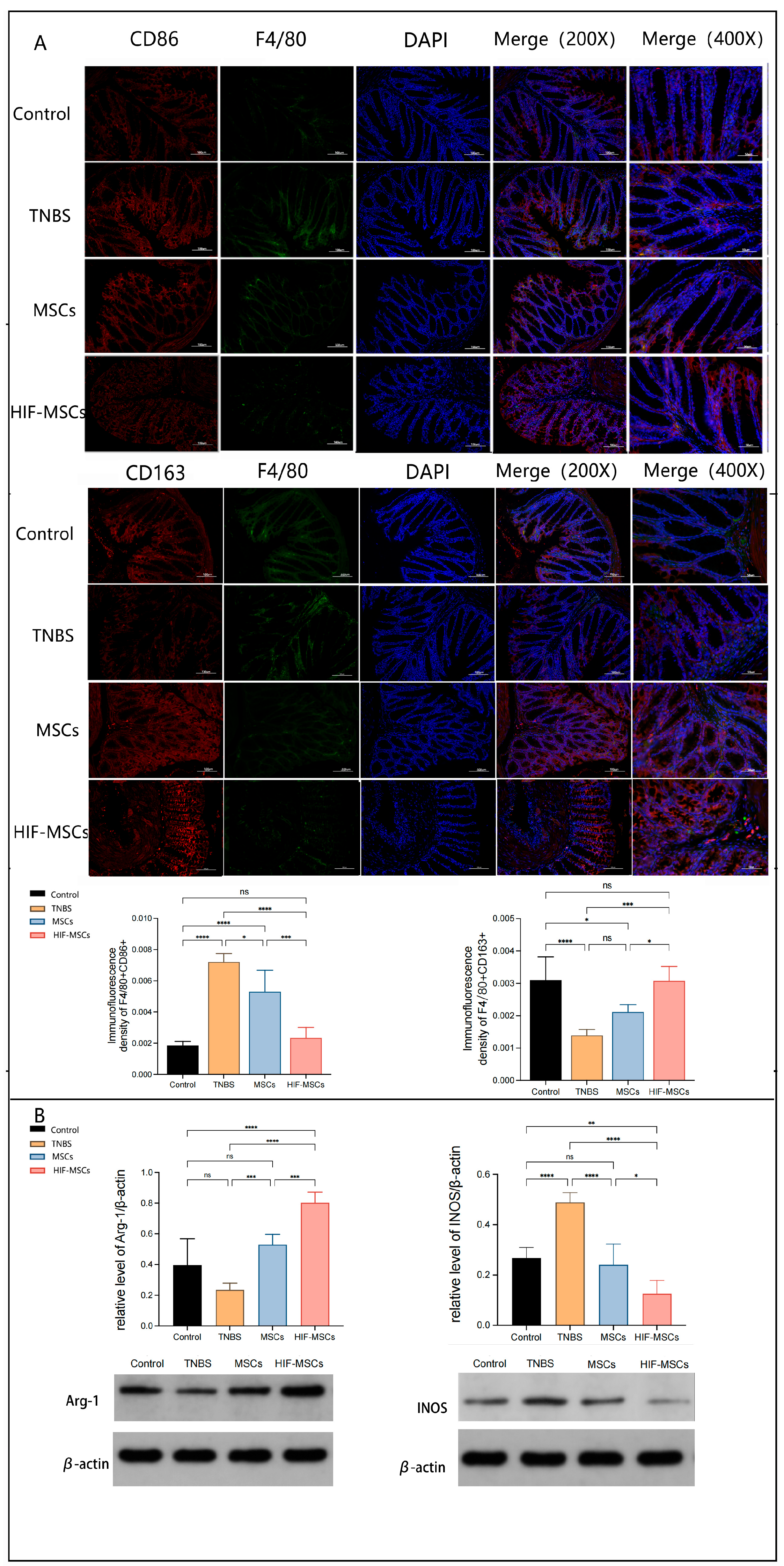 Biomedicines 13 01903 g004