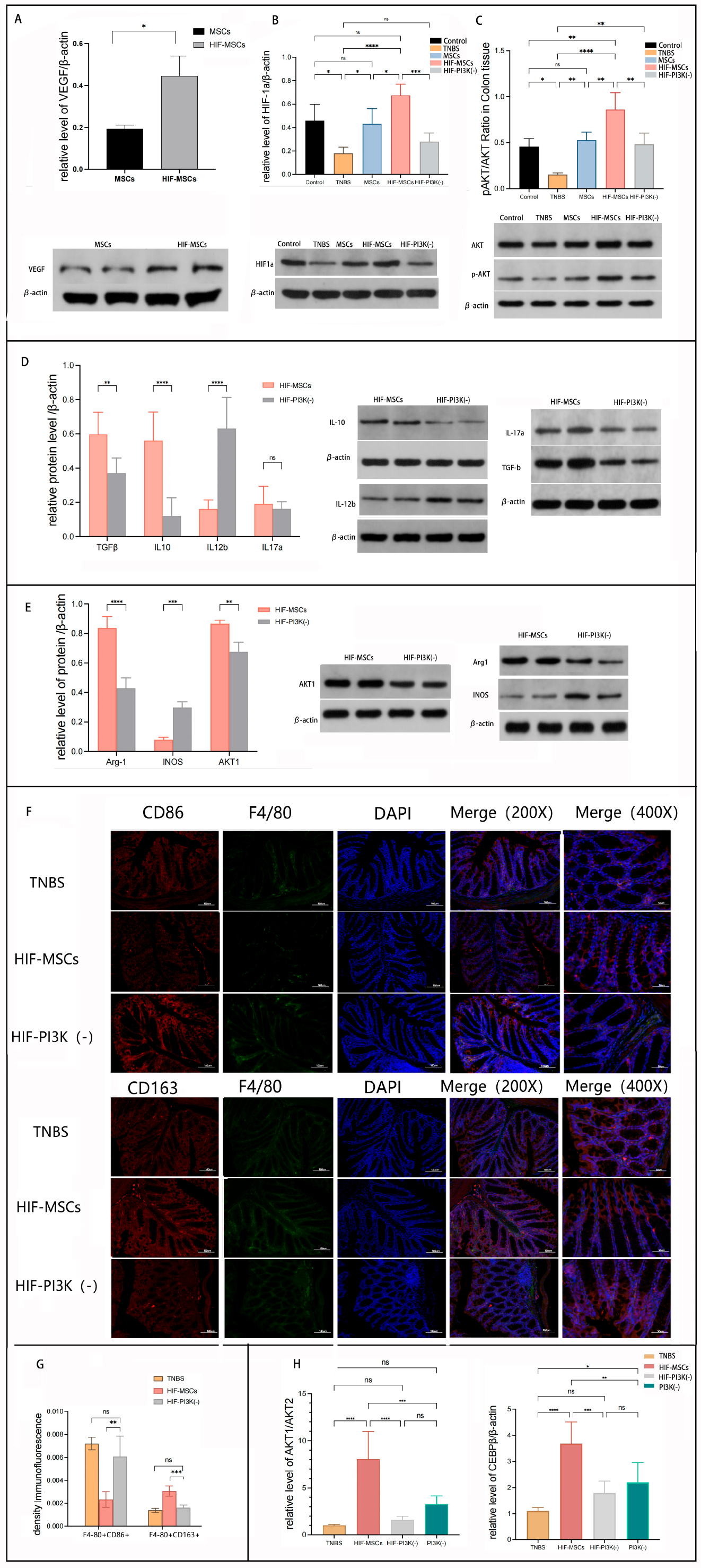Biomedicines 13 01903 g006
